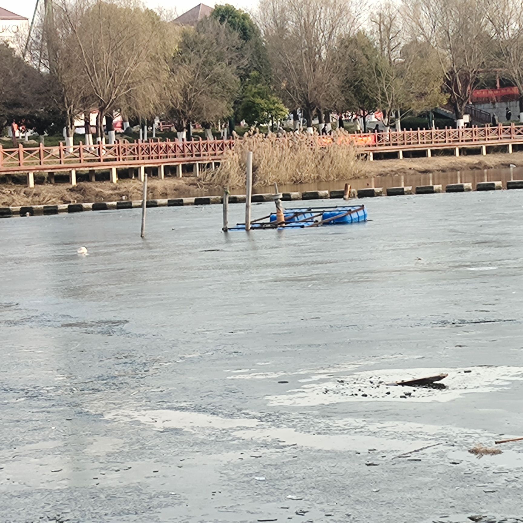 两河口省级森林公园旅行图片 2