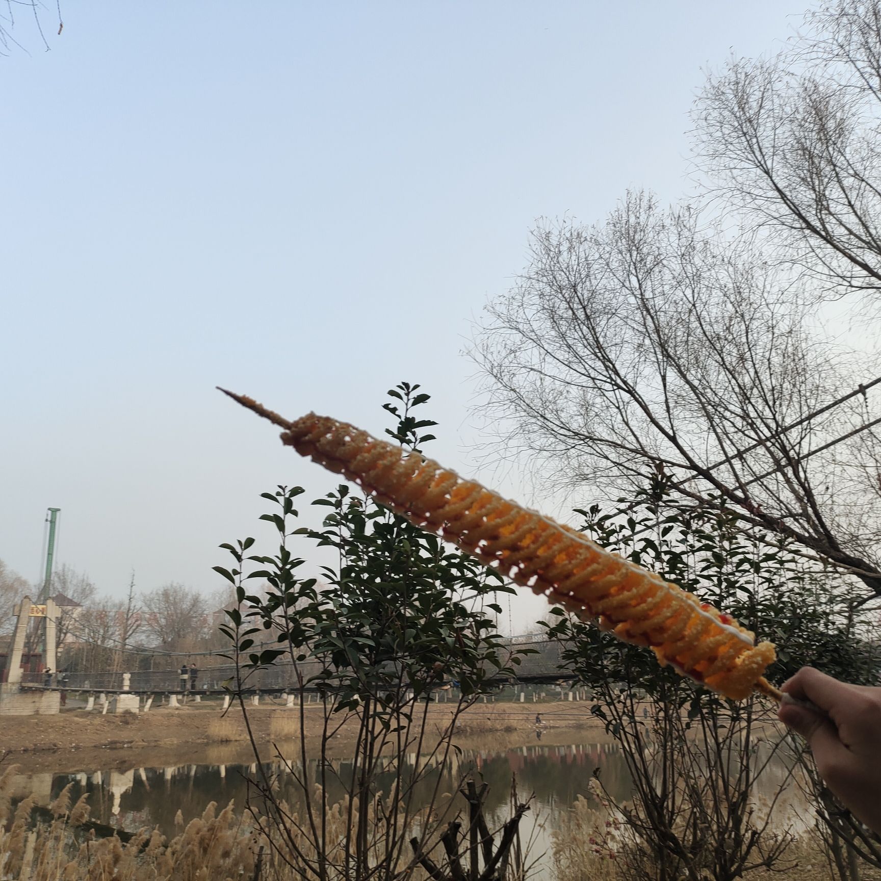 两河口省级森林公园旅行图片 1