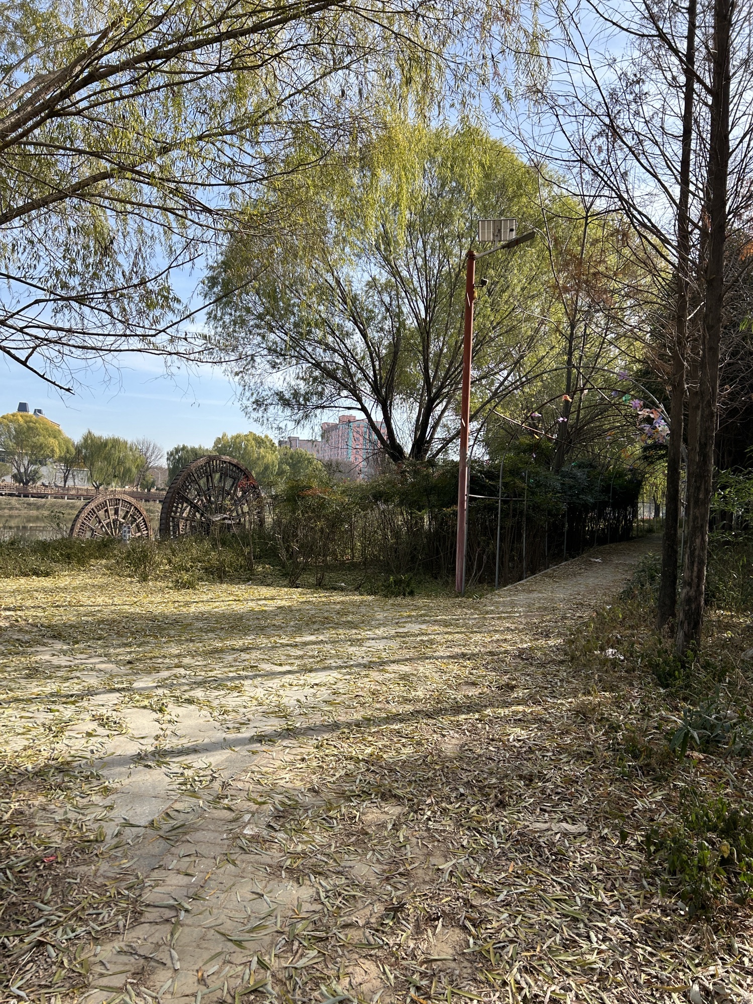 两河口省级森林公园旅行图片 2