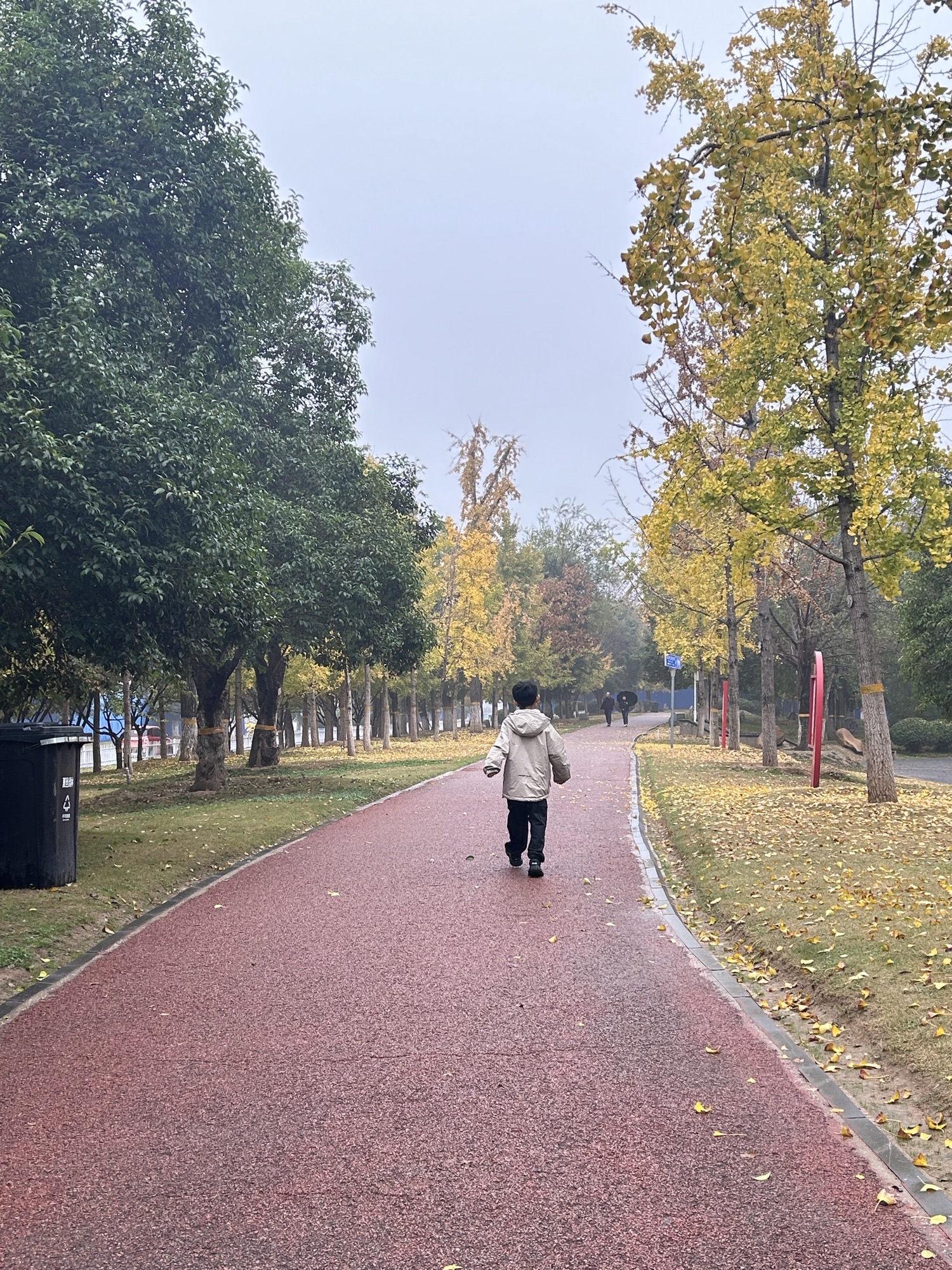 两河口省级森林公园旅行图片 3