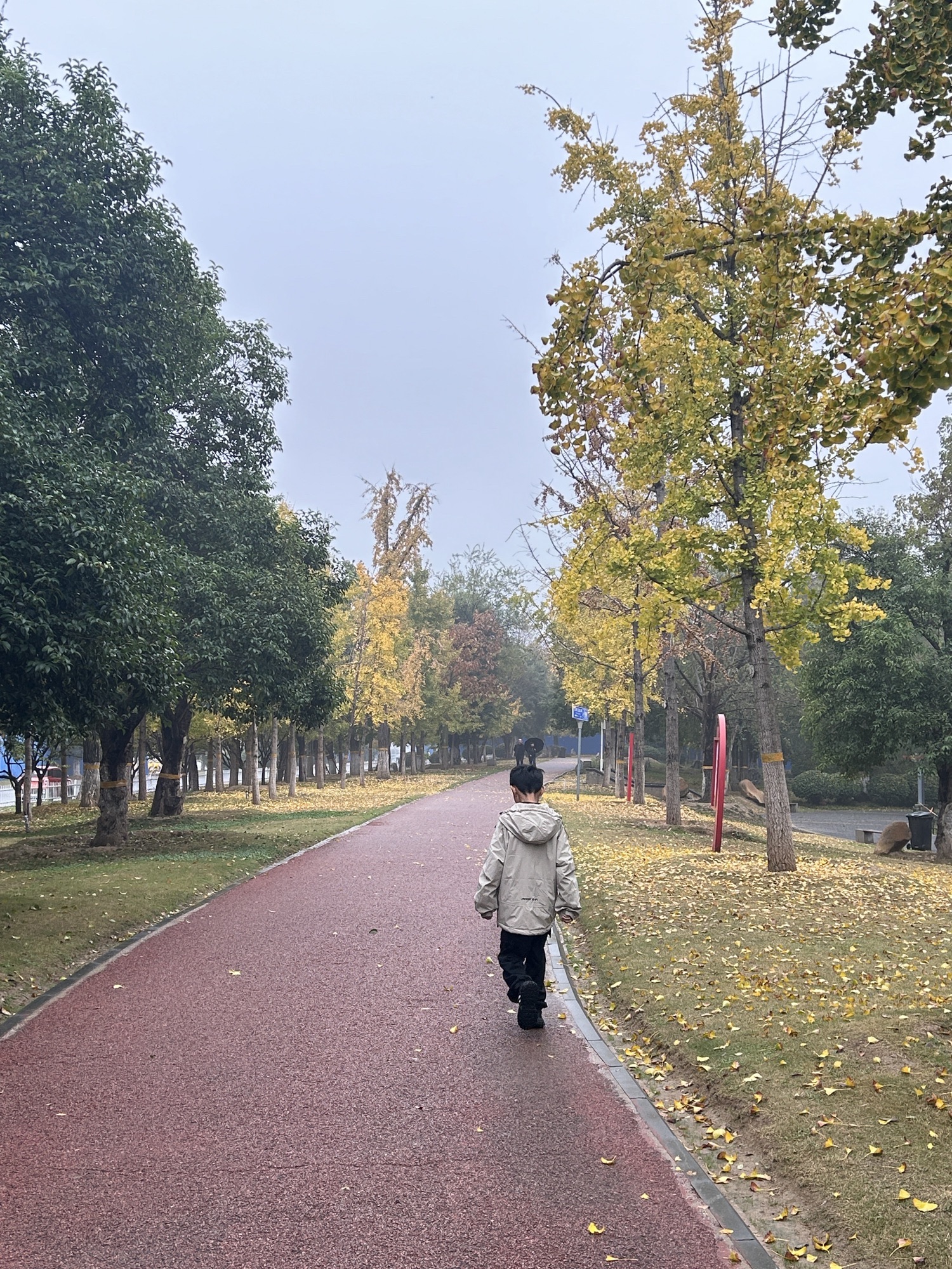 两河口省级森林公园旅行图片 2