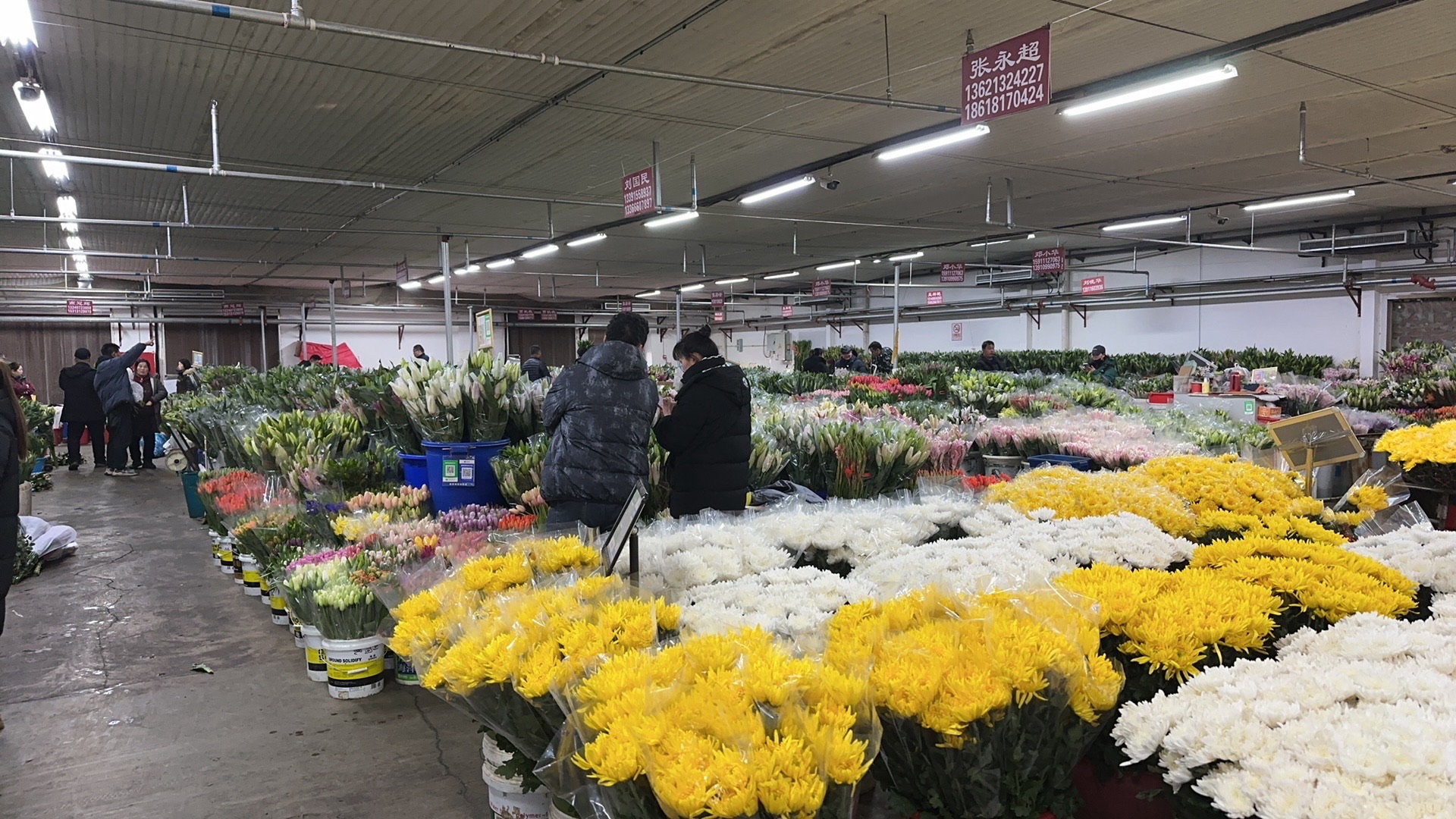 京花卉鲜花批发市场