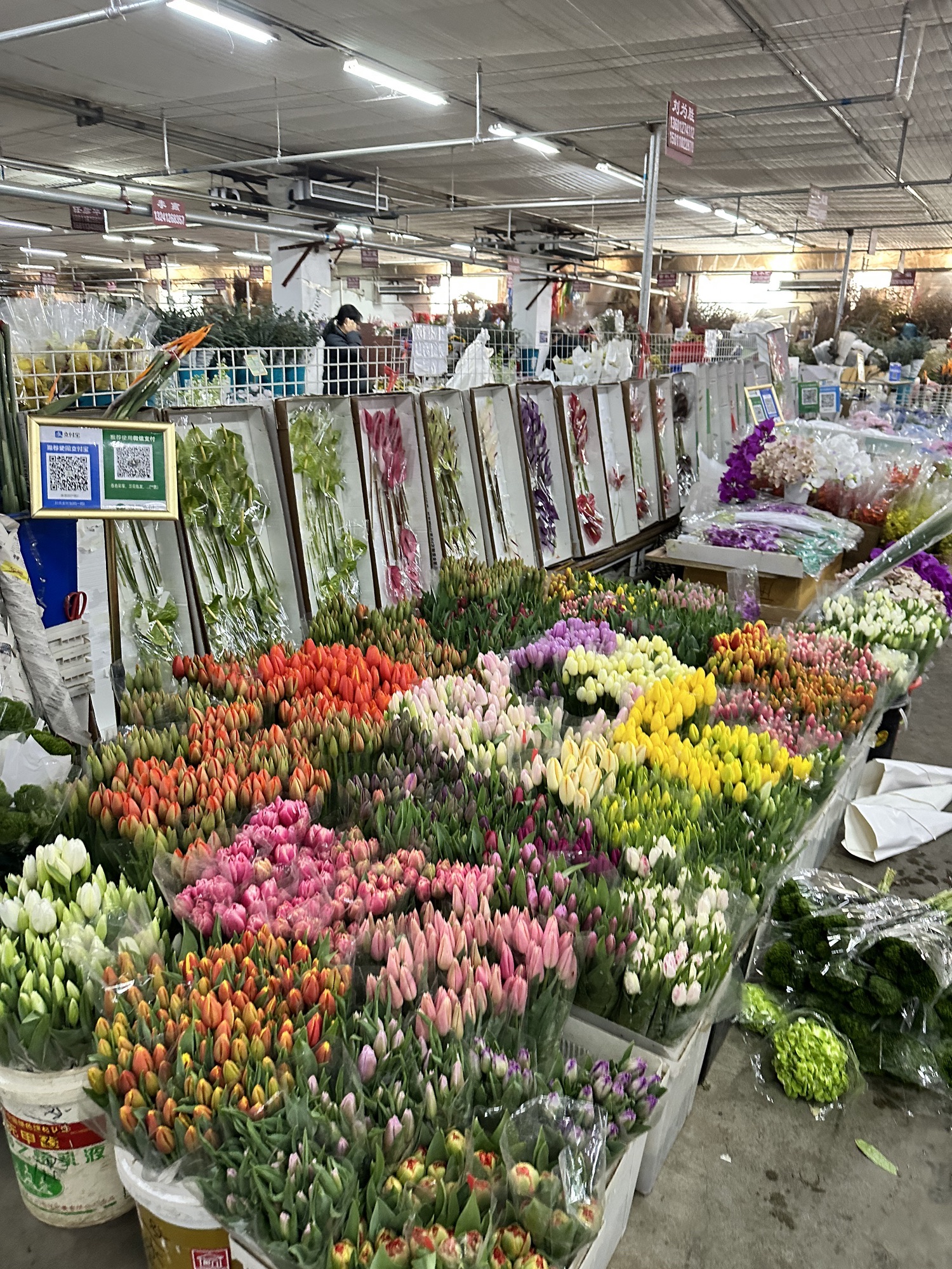 京花卉鲜花批发市场