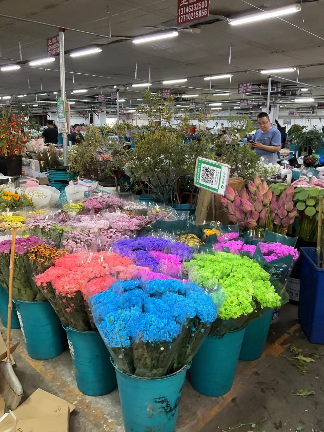 京花卉鲜花批发市场