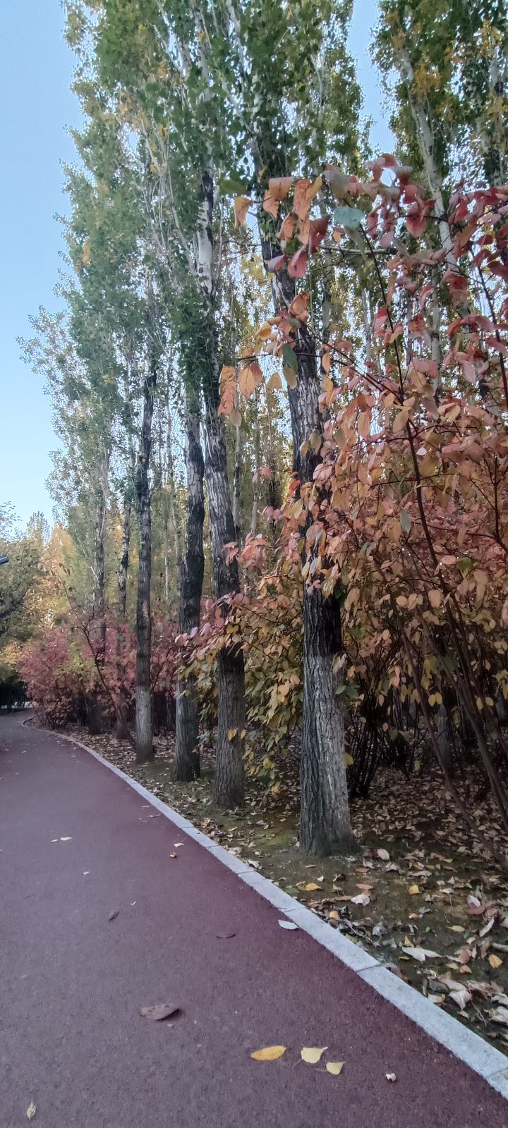 生态园旅行图片 1