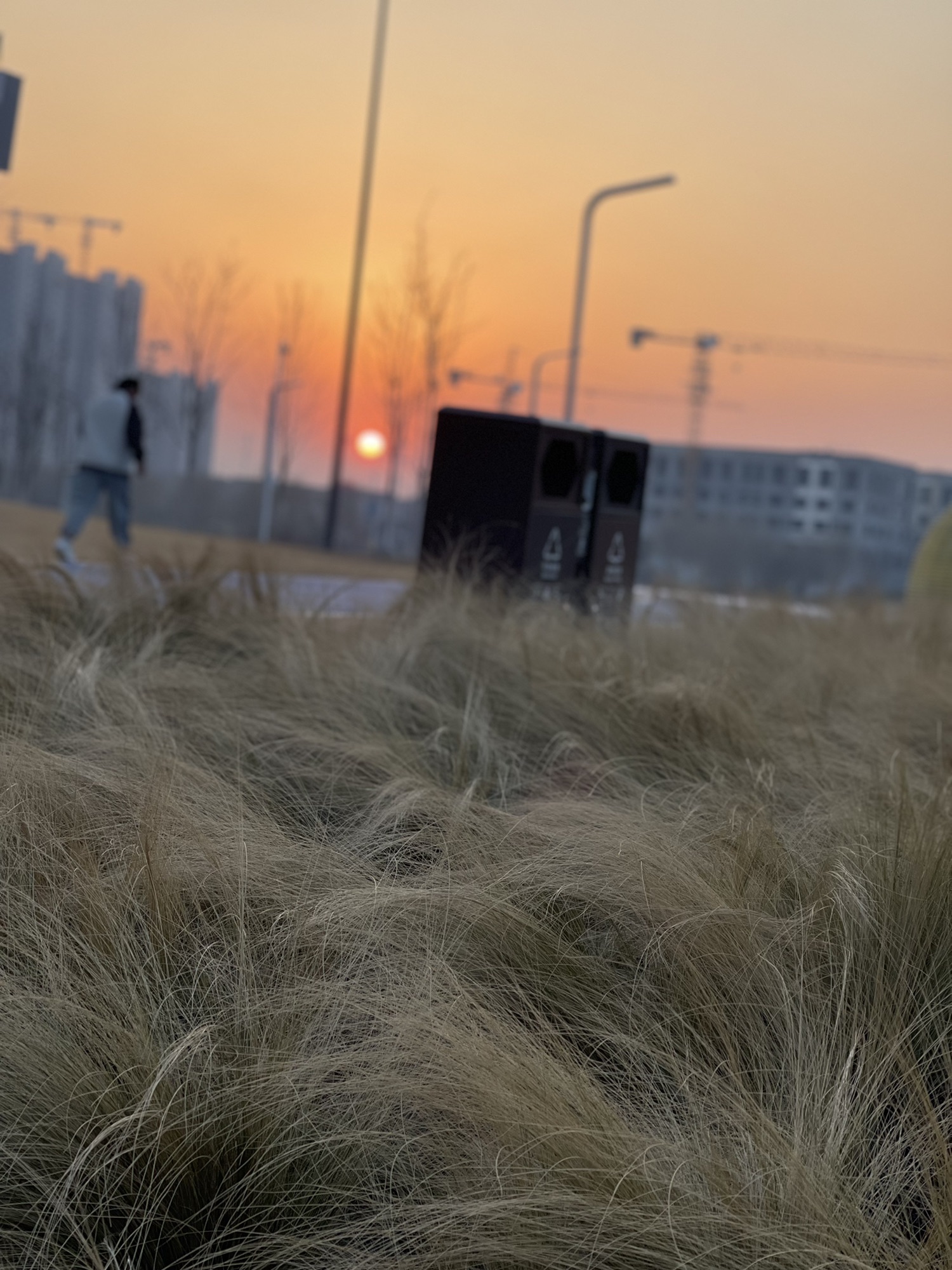 鸿雁湖公园旅行图片 3