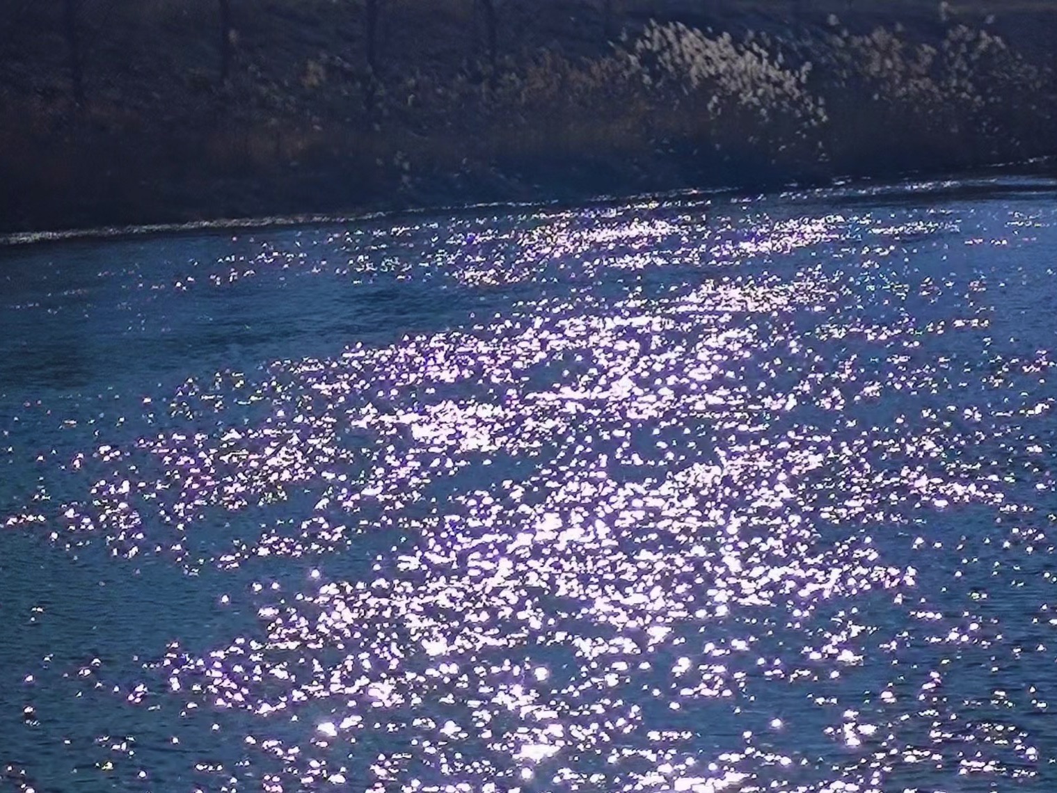 磁县滏阳河如意湖生态湿地公园旅行图片 2