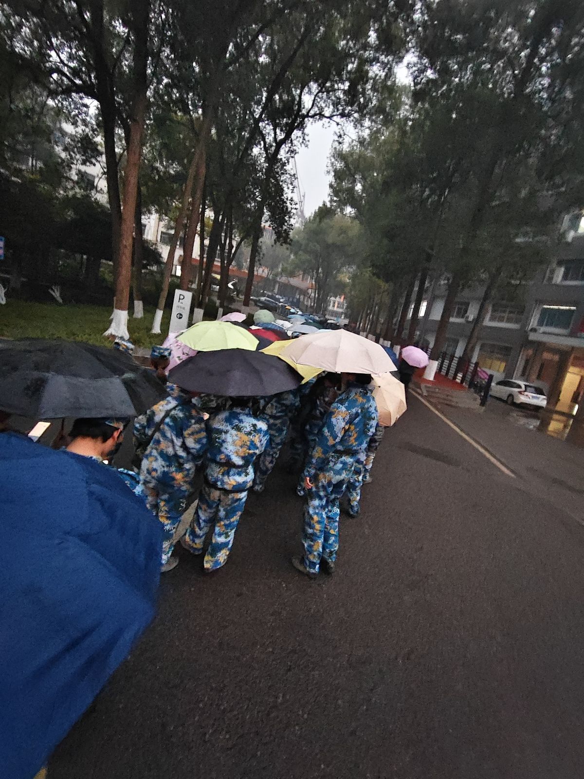 百川广场旅行图片 3