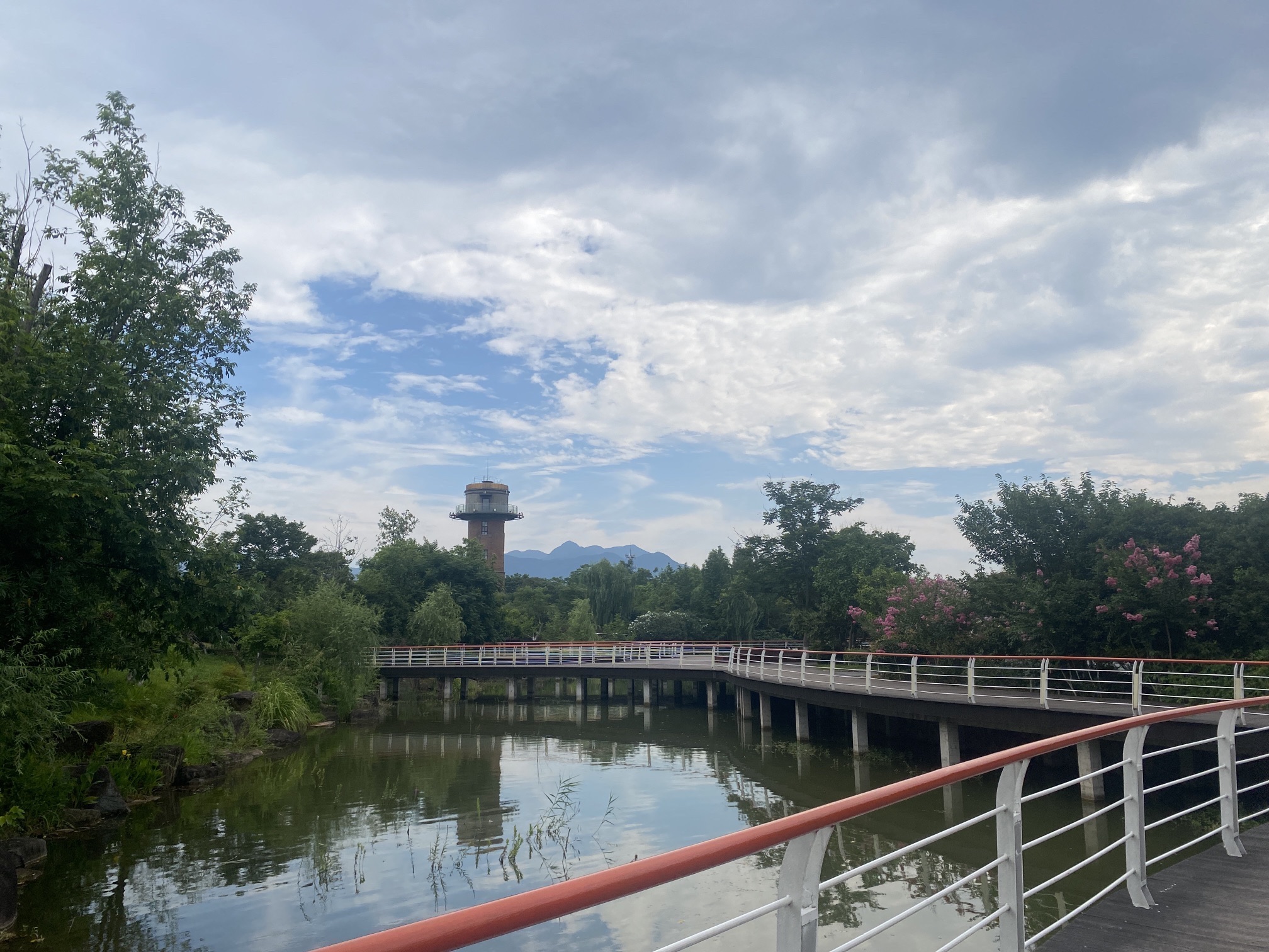 金狮湖旅行图片 1