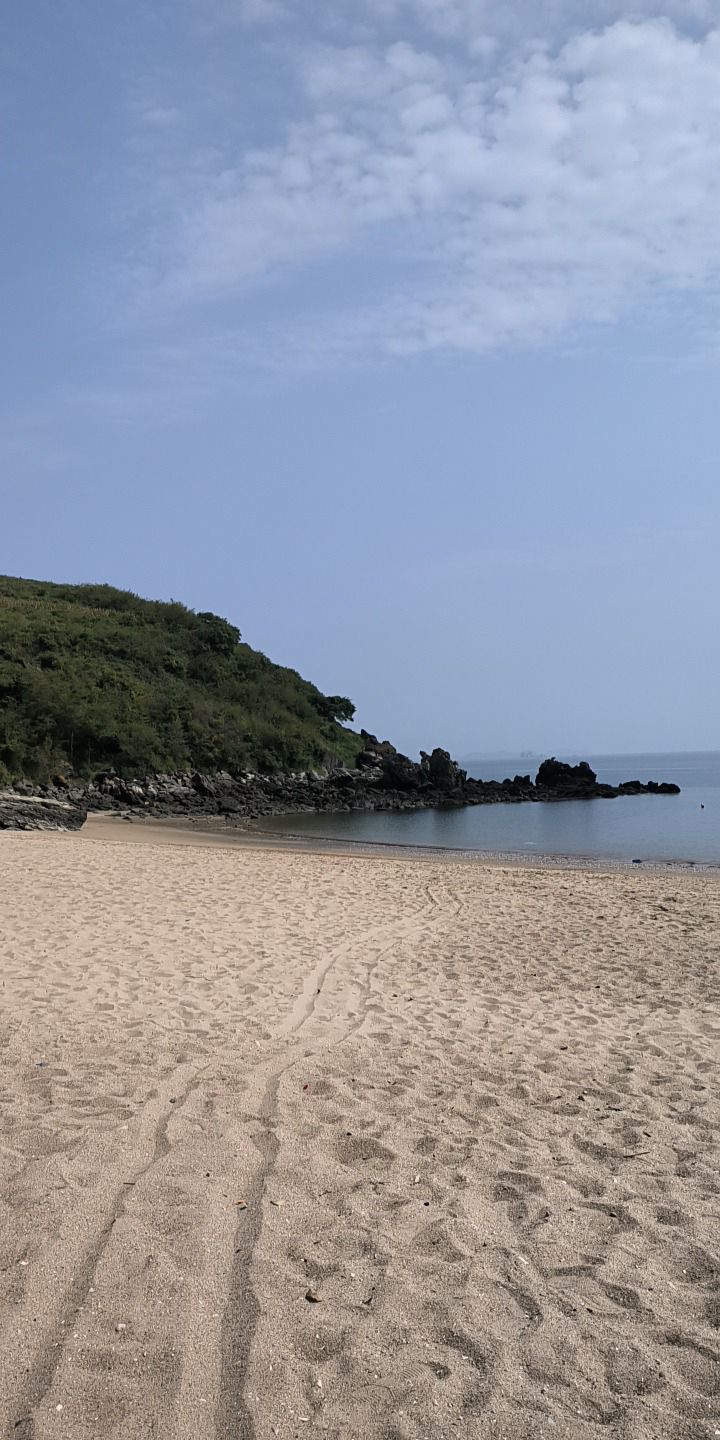 金蟾湾旅行图片 1
