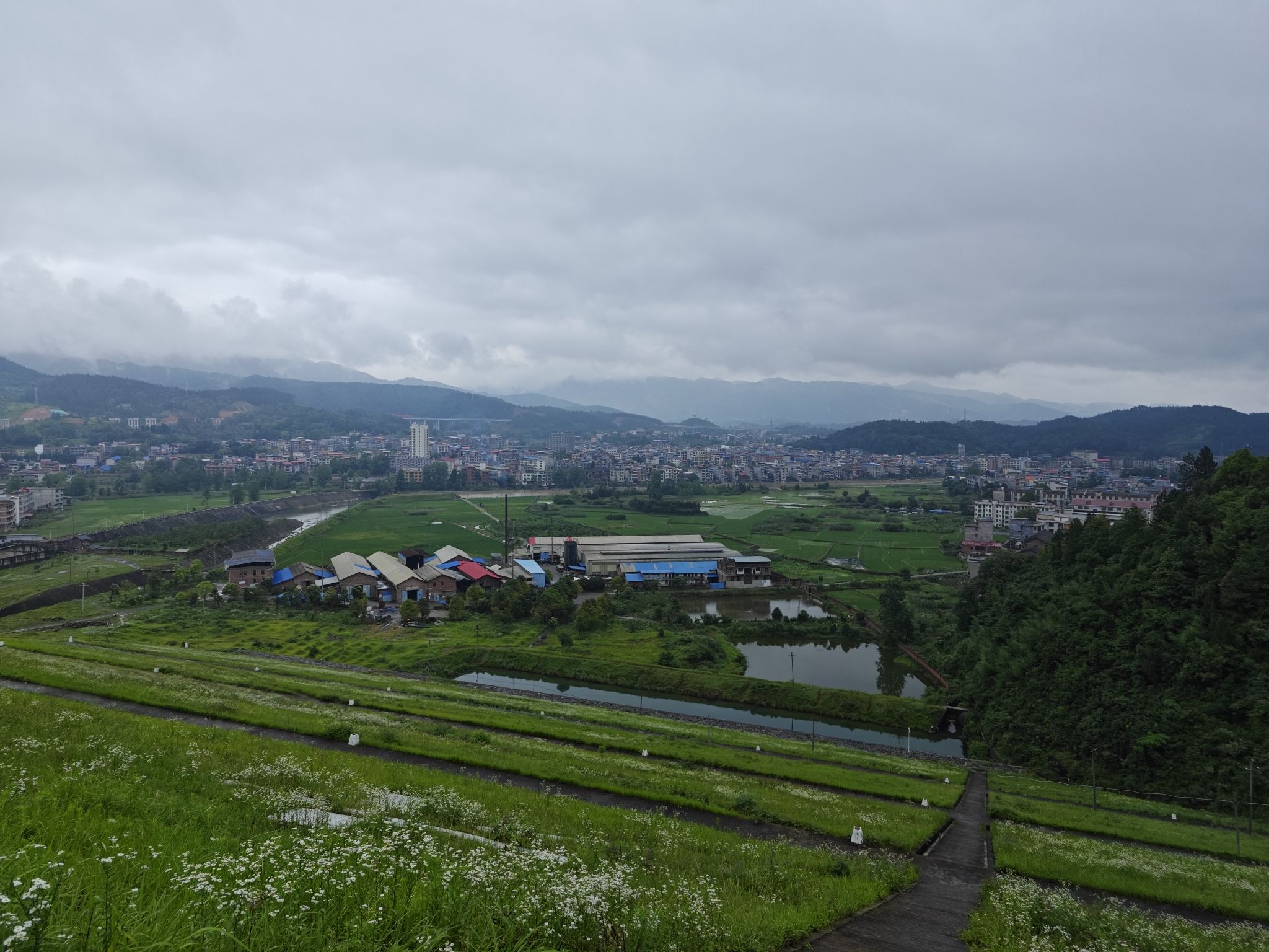 魏源湖湿地公园旅行图片 2