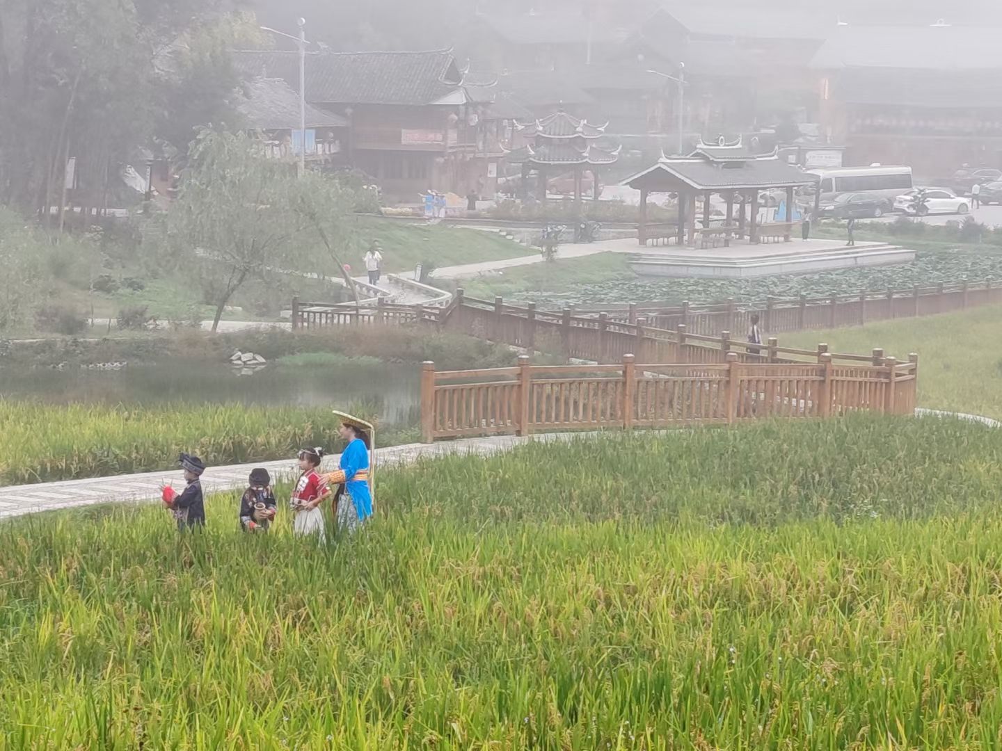 魏源湖湿地公园旅行图片 3