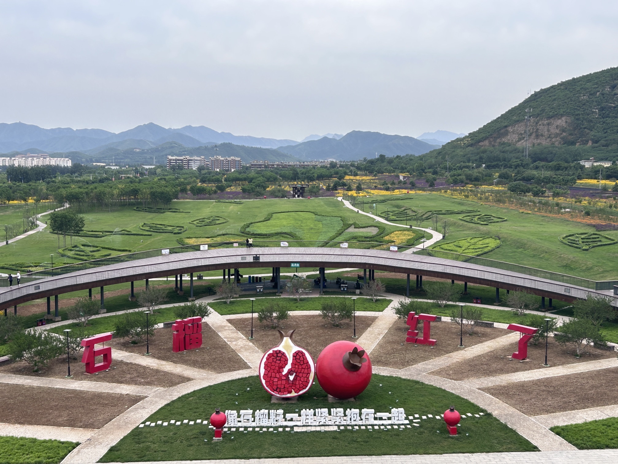 石榴红了主题园旅行图片 3