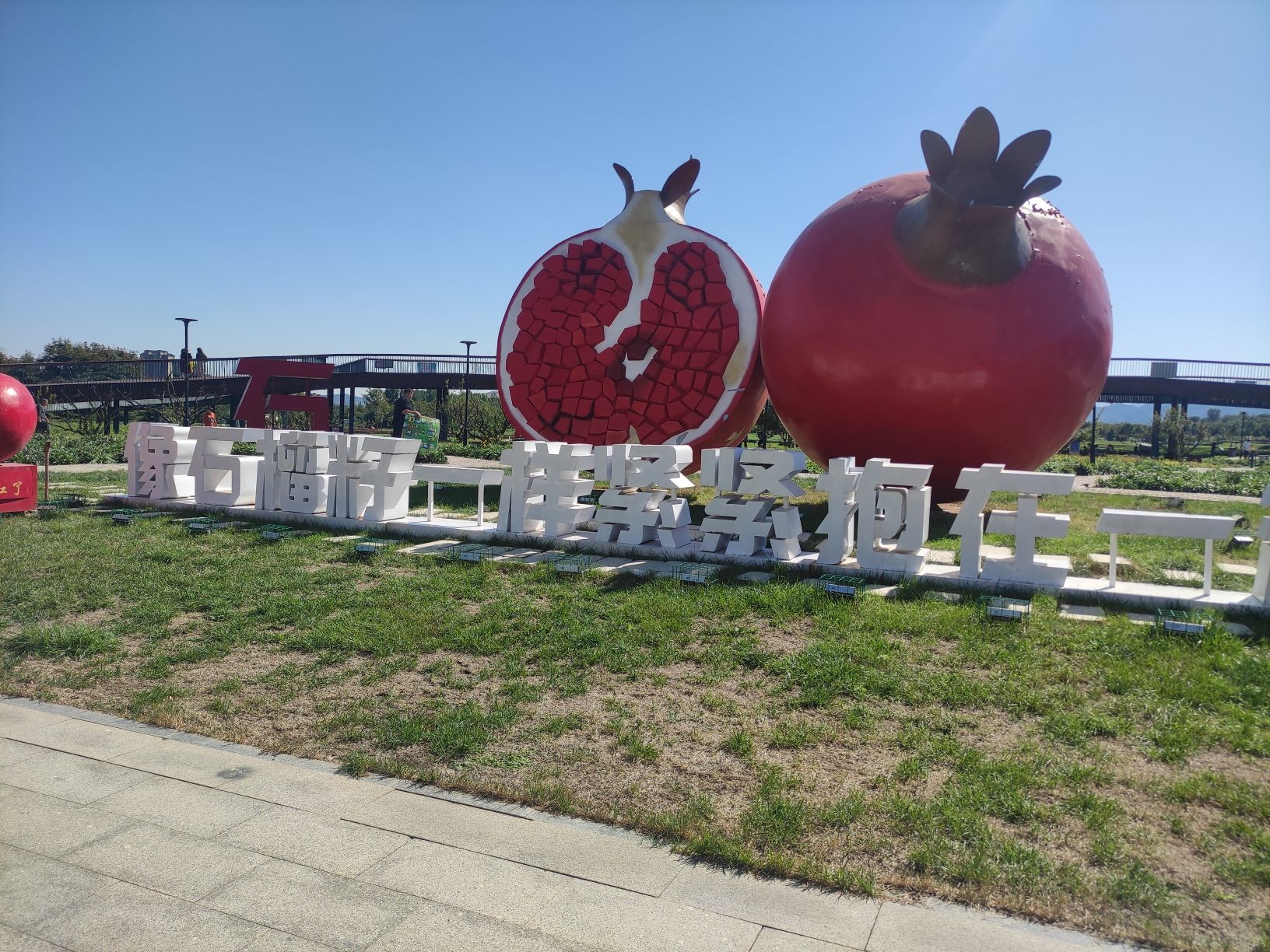 石榴红了主题园旅行图片 2