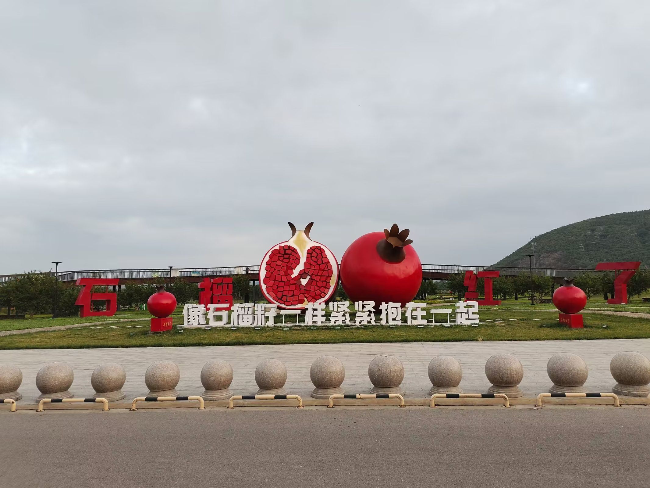 石榴红了主题园旅行图片 1