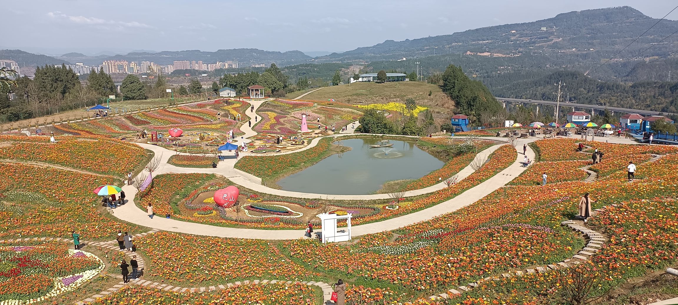 巴山花海旅行图片 3