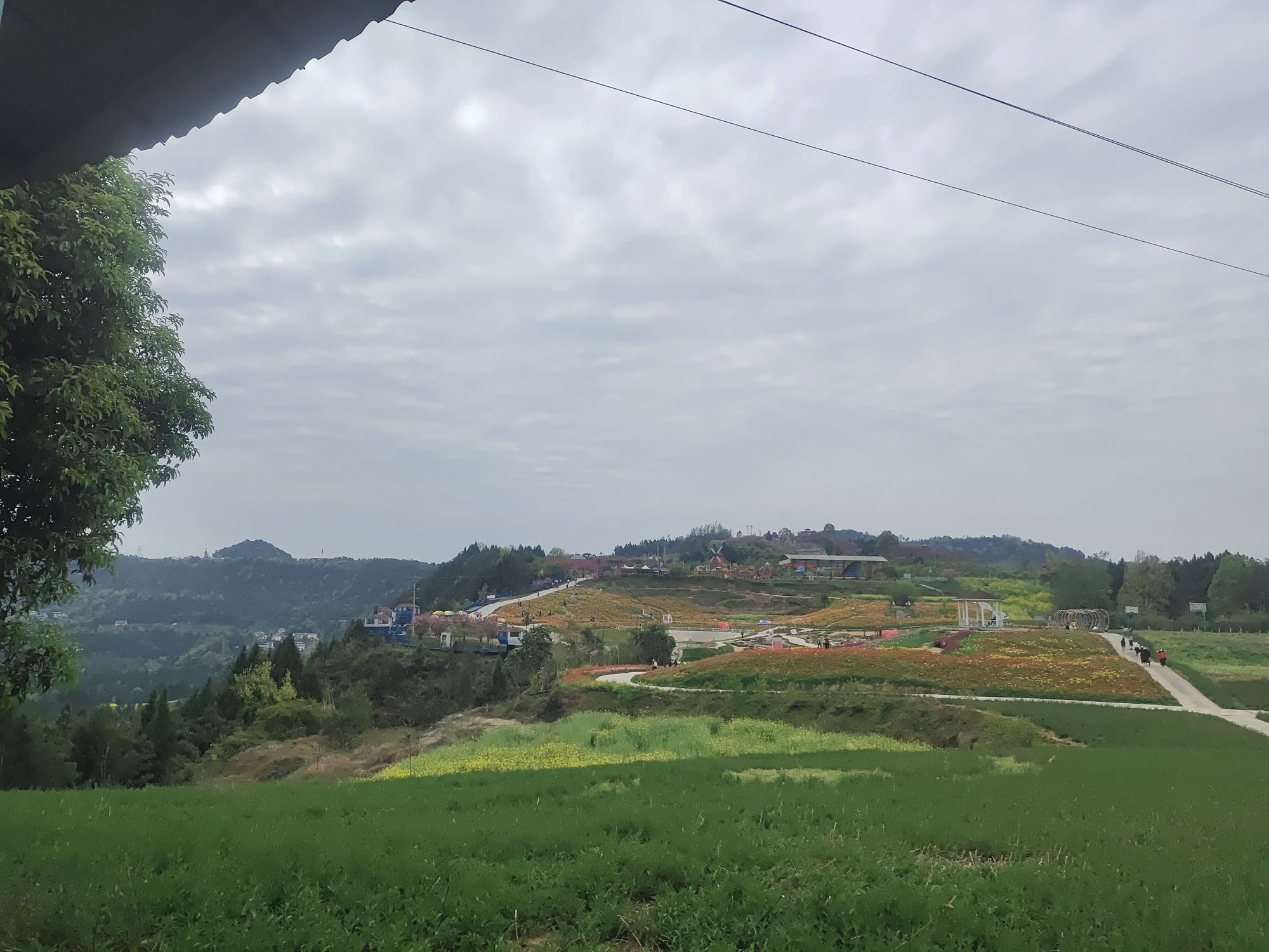 巴山花海旅行图片 1