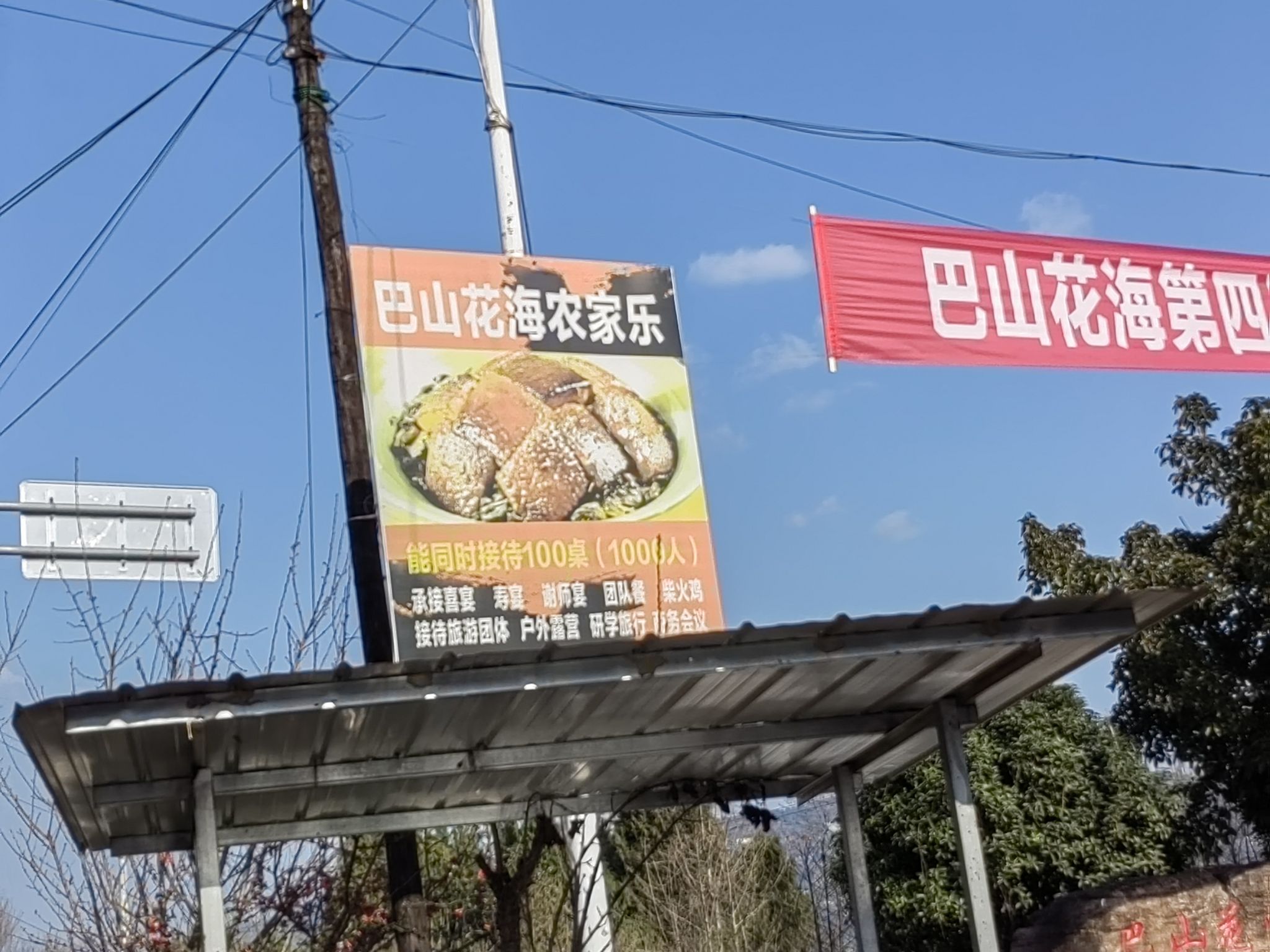 巴山花海旅行图片 3