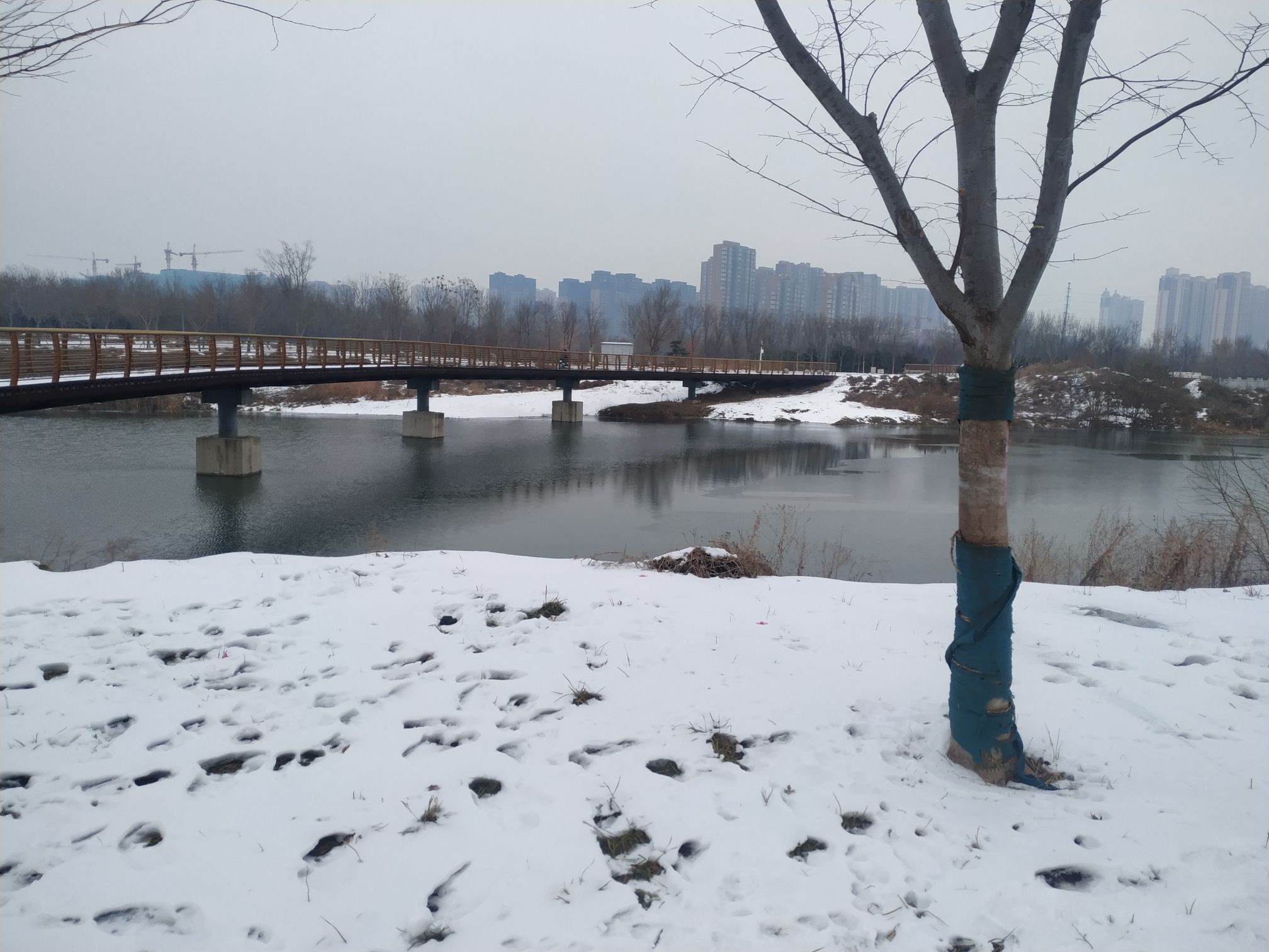 洪河湿地公园旅行图片 3