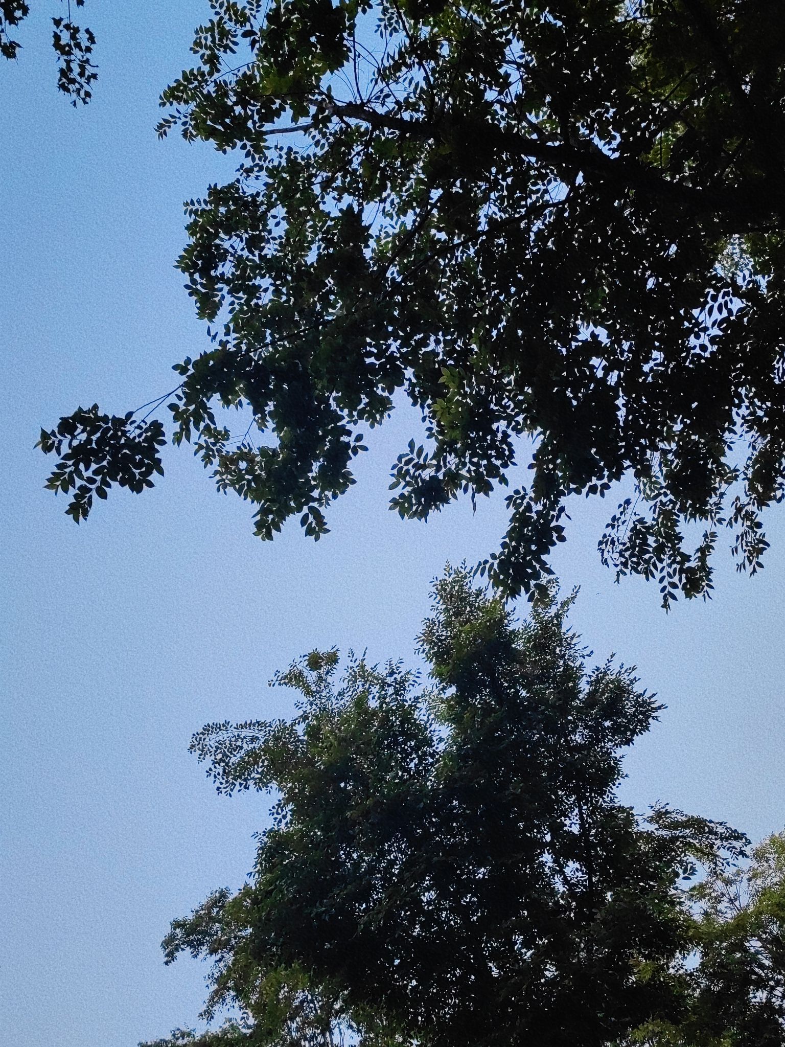 洪河湿地公园旅行图片 3