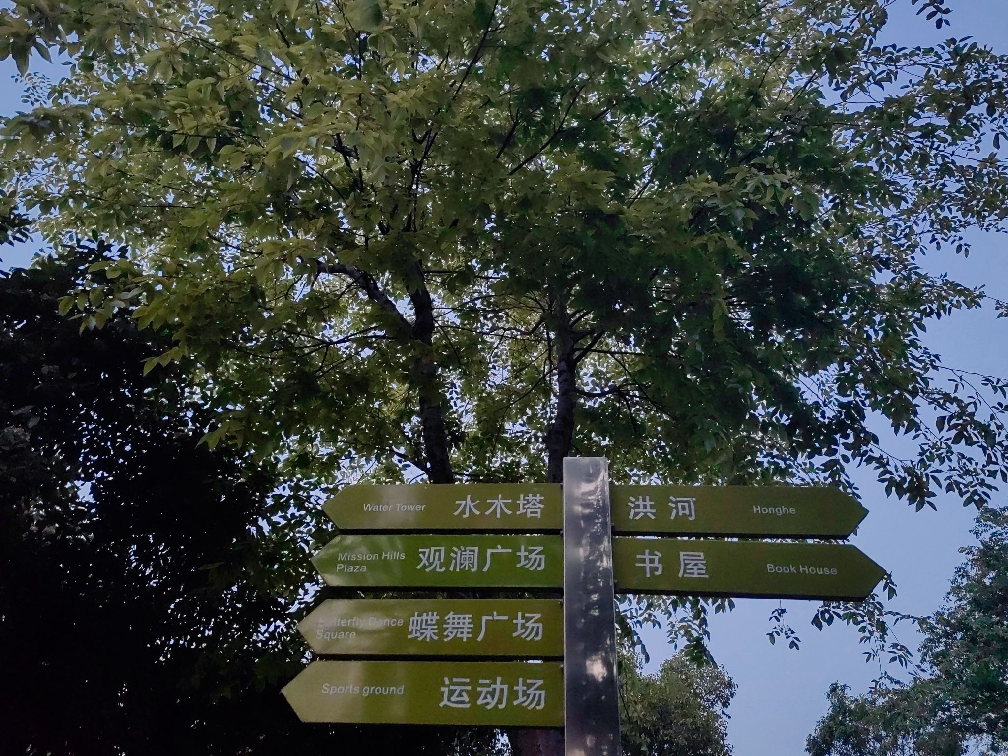 洪河湿地公园旅行图片 2