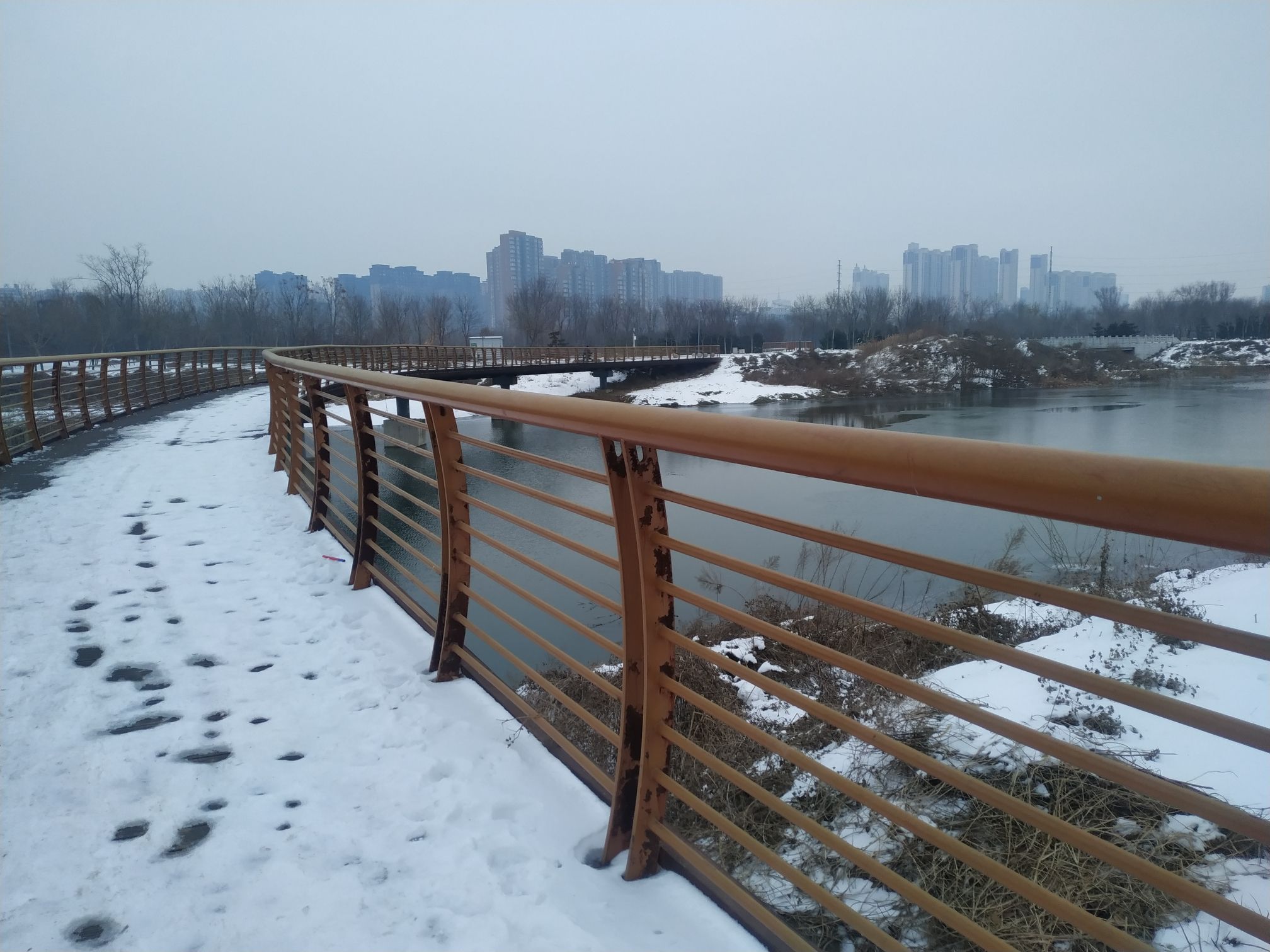 洪河湿地公园旅行图片 1