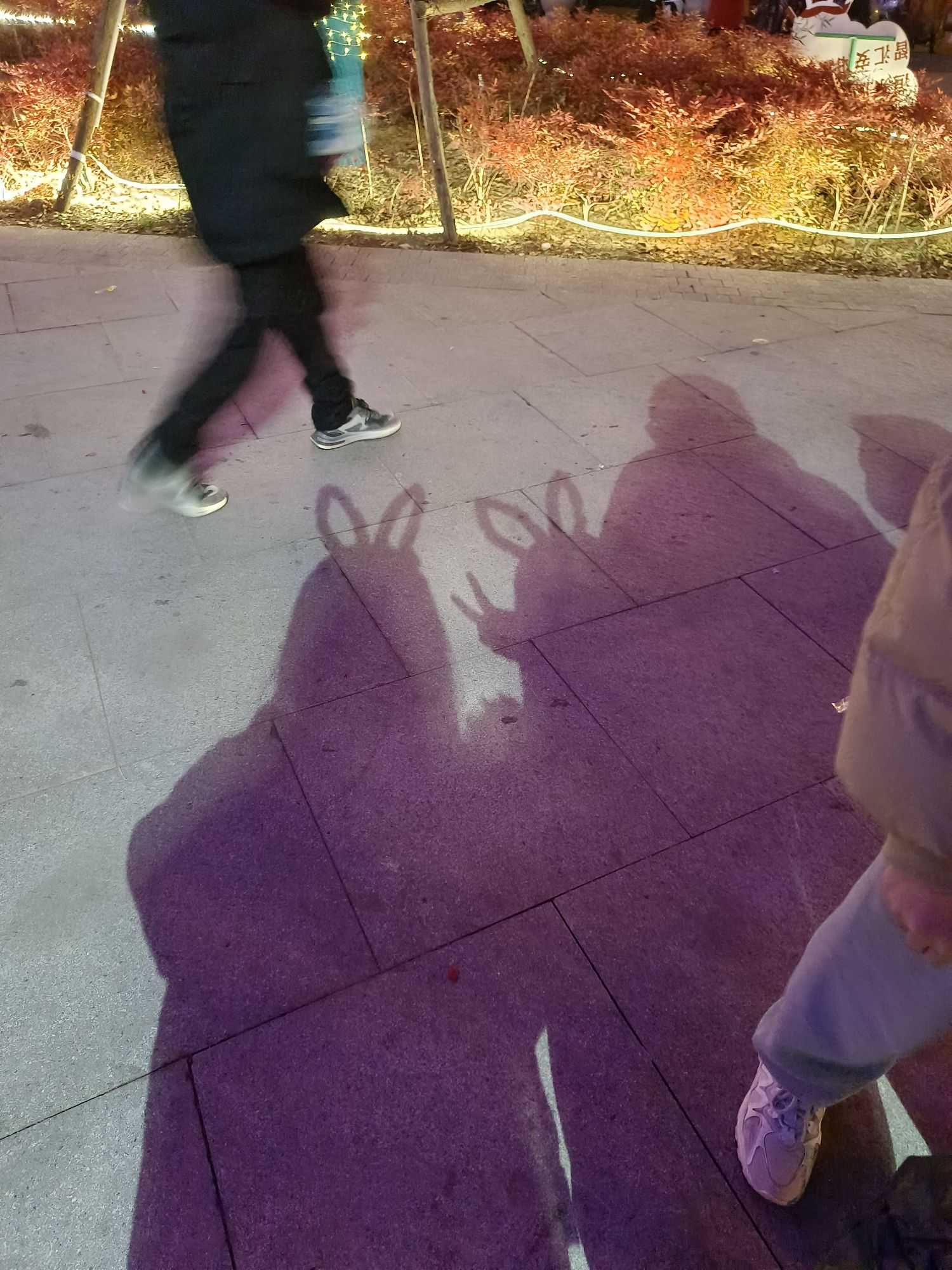 洪河湿地公园旅行图片 2