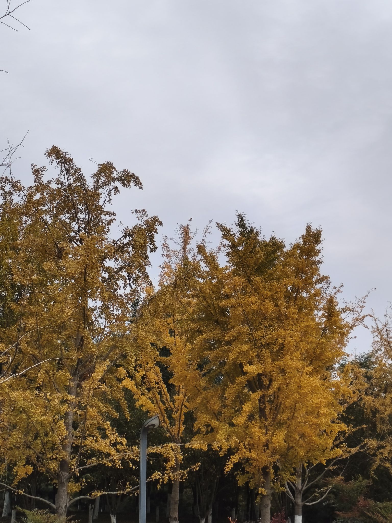 洪河湿地公园旅行图片 1