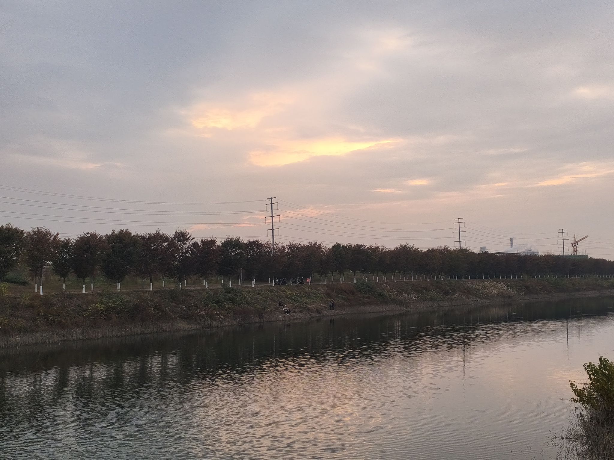 洪河湿地公园旅行图片 2