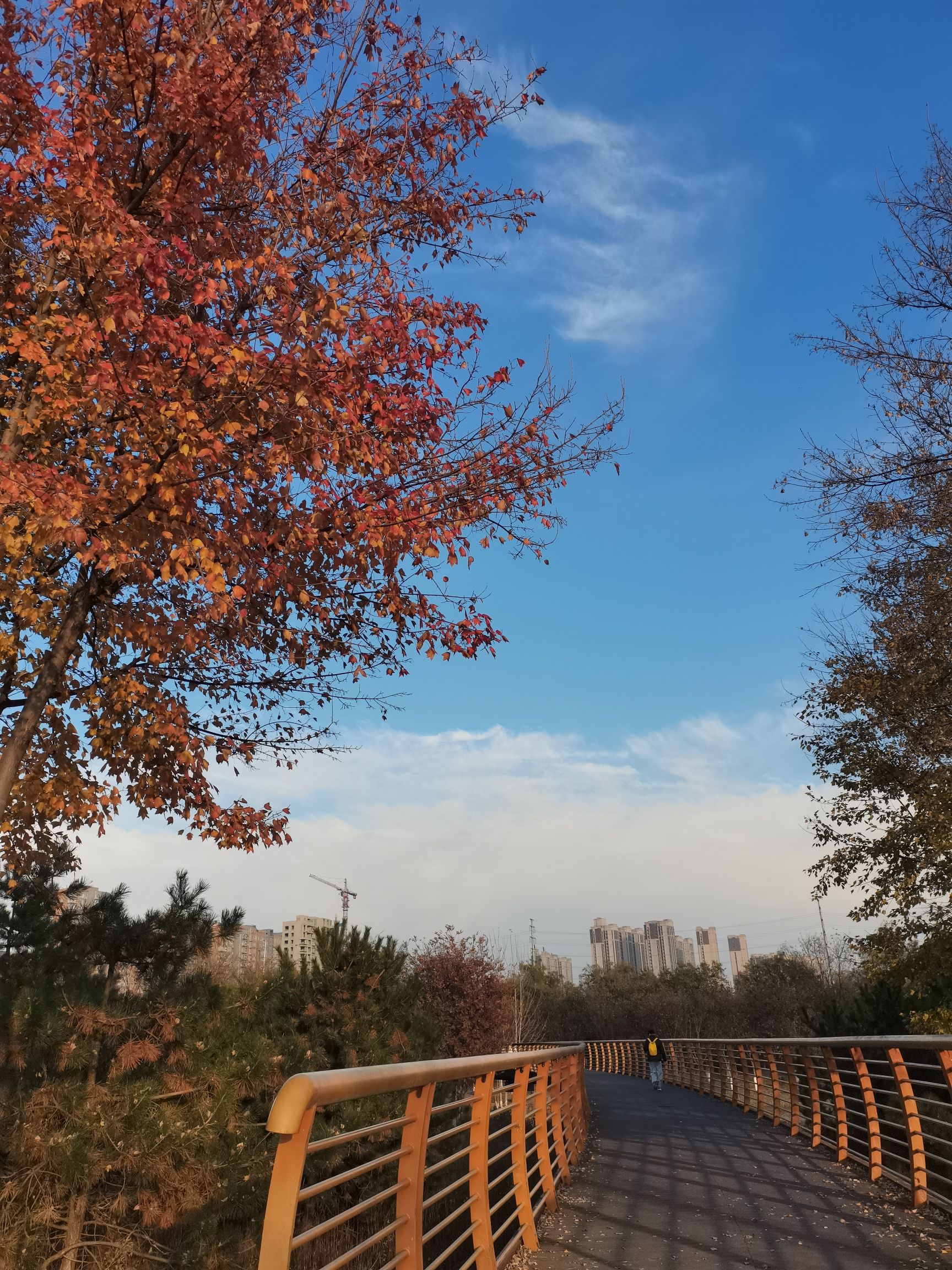 洪河湿地公园旅行图片 2