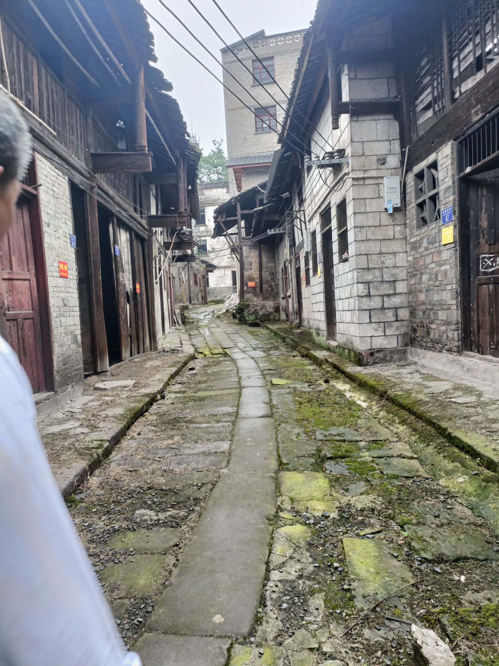 马家洋房旅行图片 1