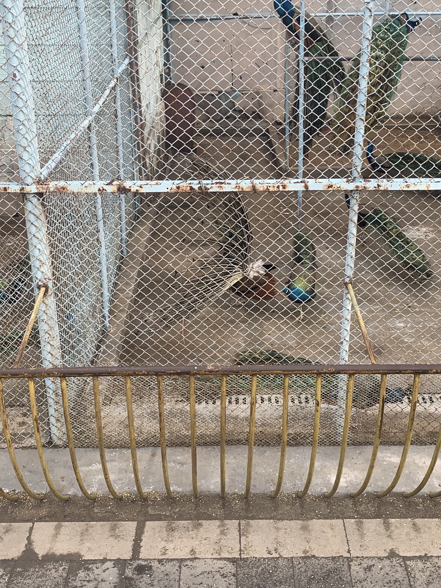 健康主题公园旅行图片 2