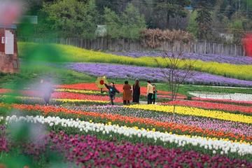 泷泊国际慢城花千谷旅行图片 2