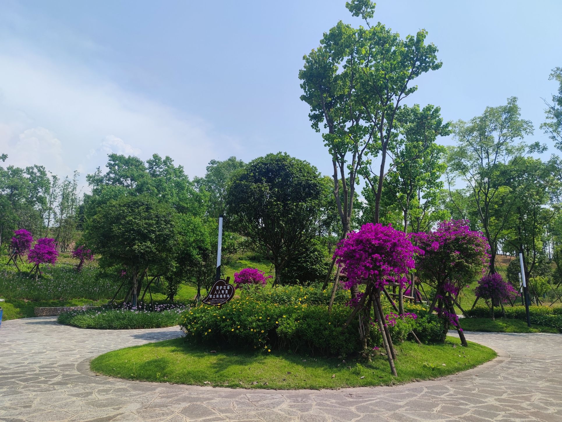 严家河湿地公园旅行图片 2