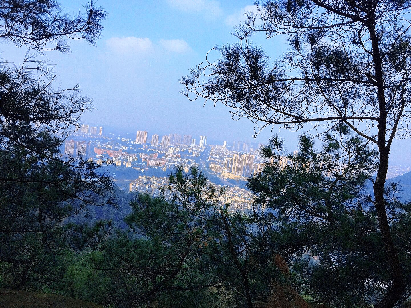 白龙塔旅行图片 2