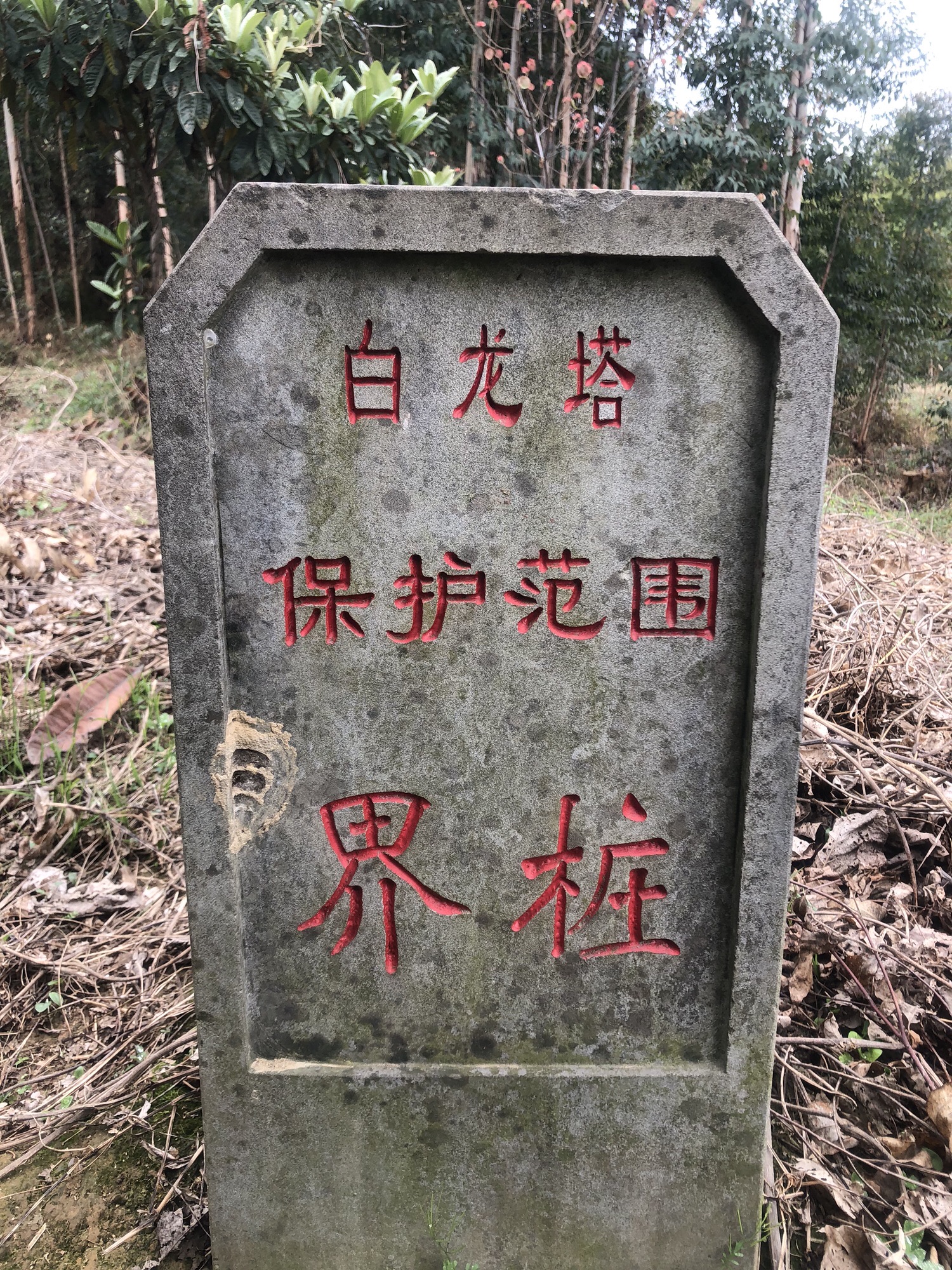 白龙塔旅行图片 2