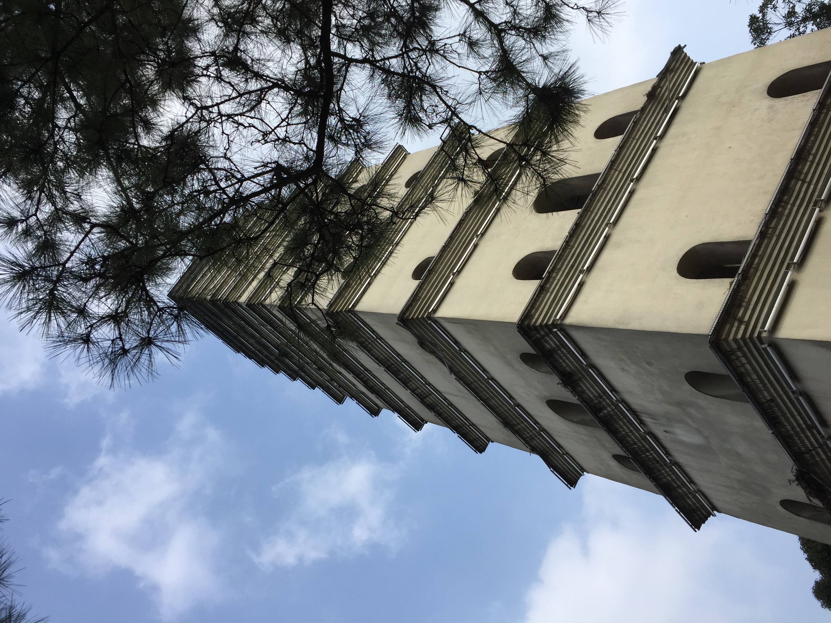 白龙塔旅行图片 1