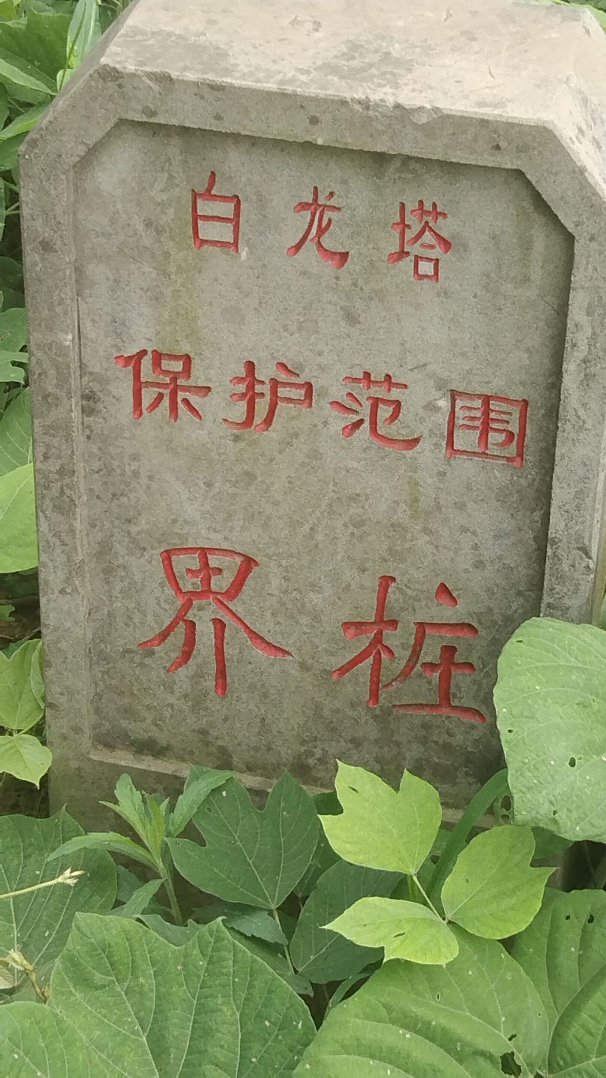 白龙塔旅行图片 1