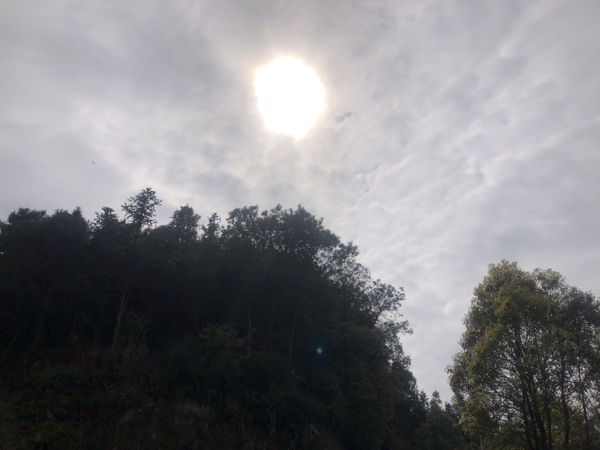 白龙塔旅行图片 1