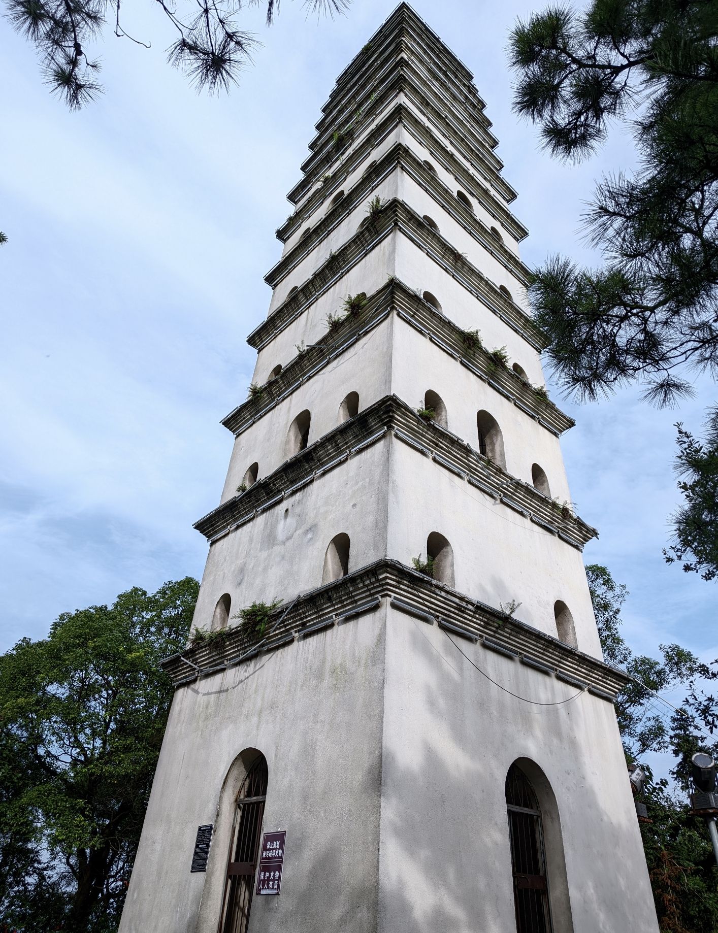 白龙塔旅行图片 1