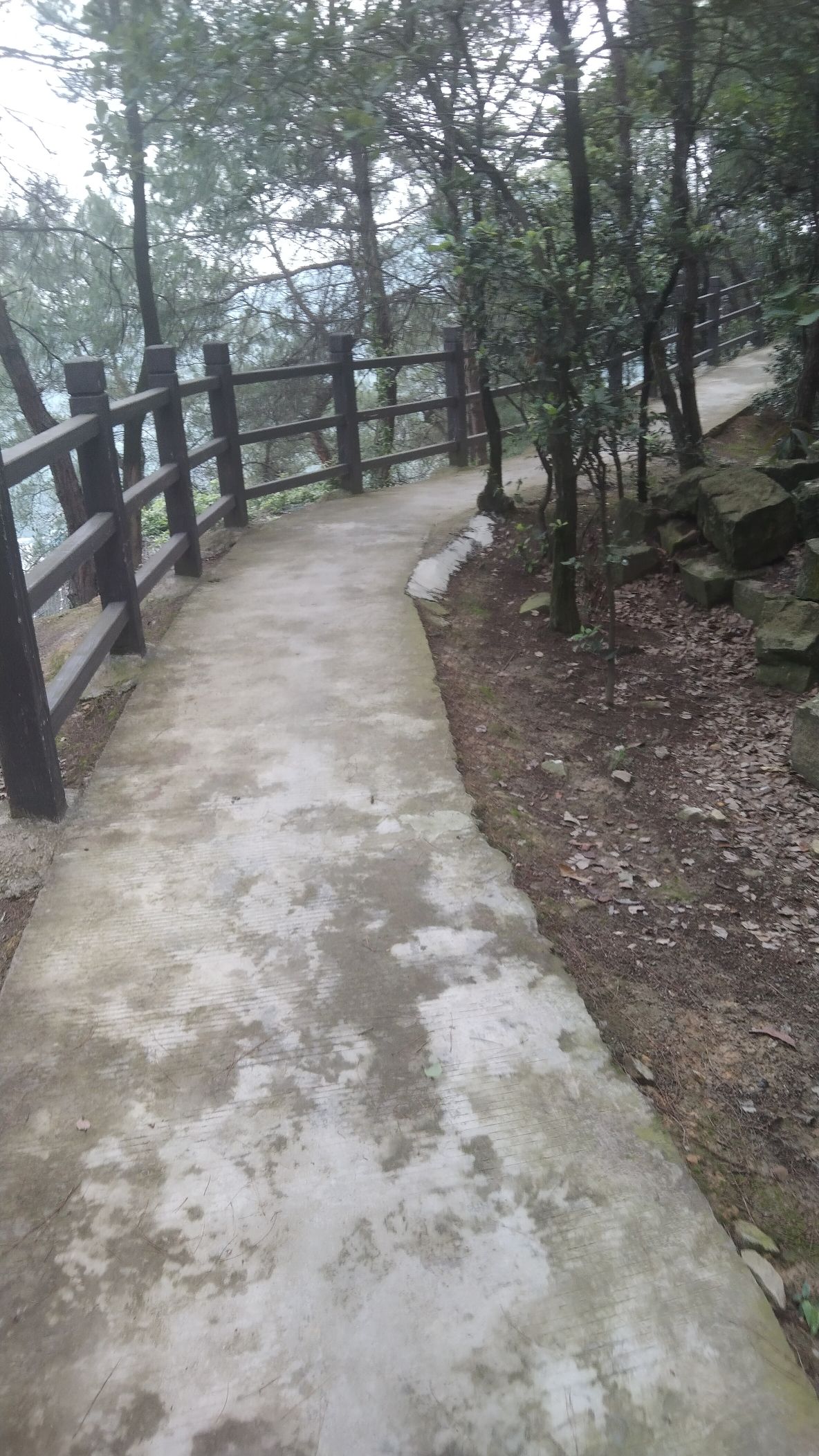 白龙塔旅行图片 3