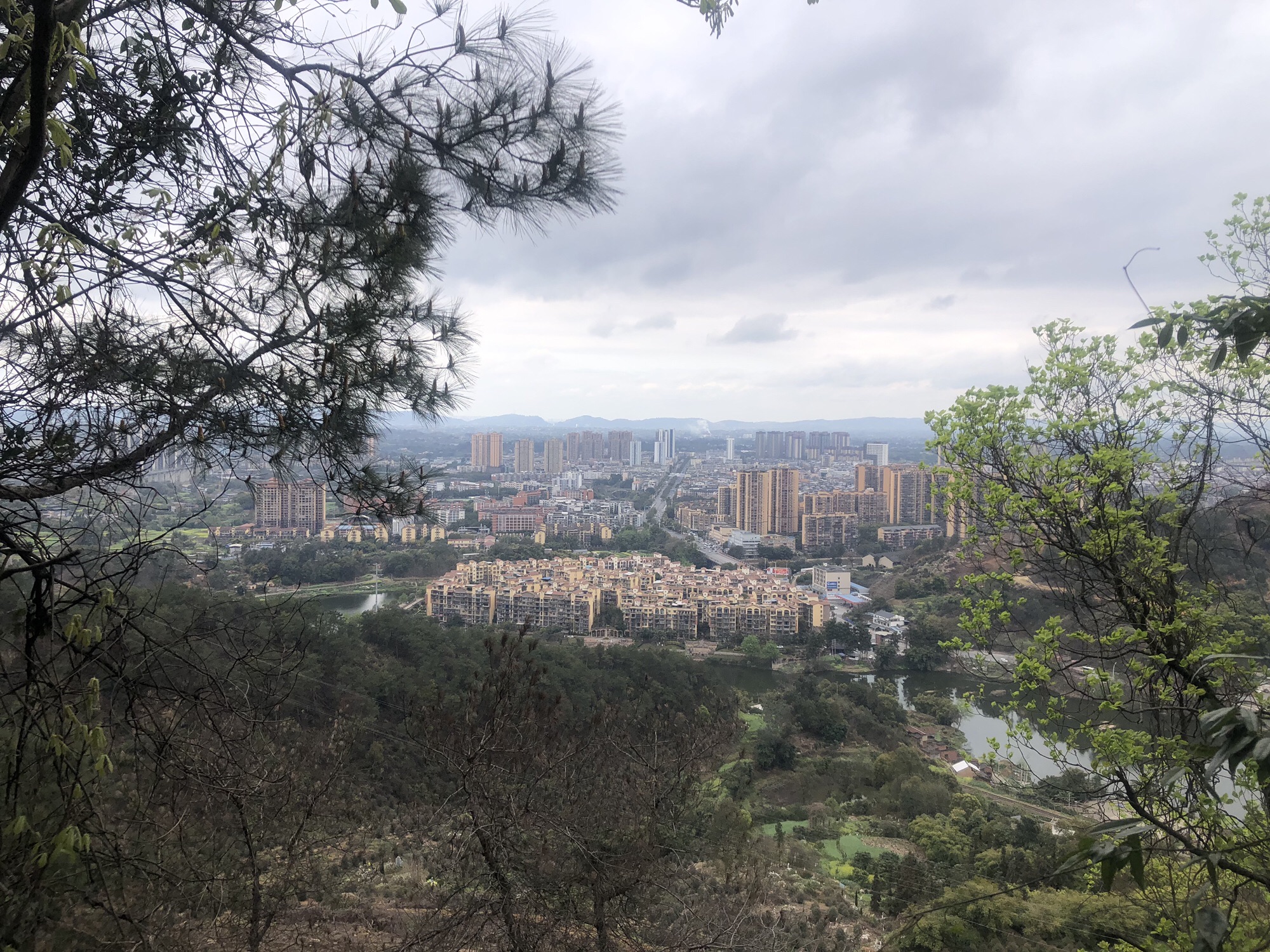 白龙塔旅行图片 3