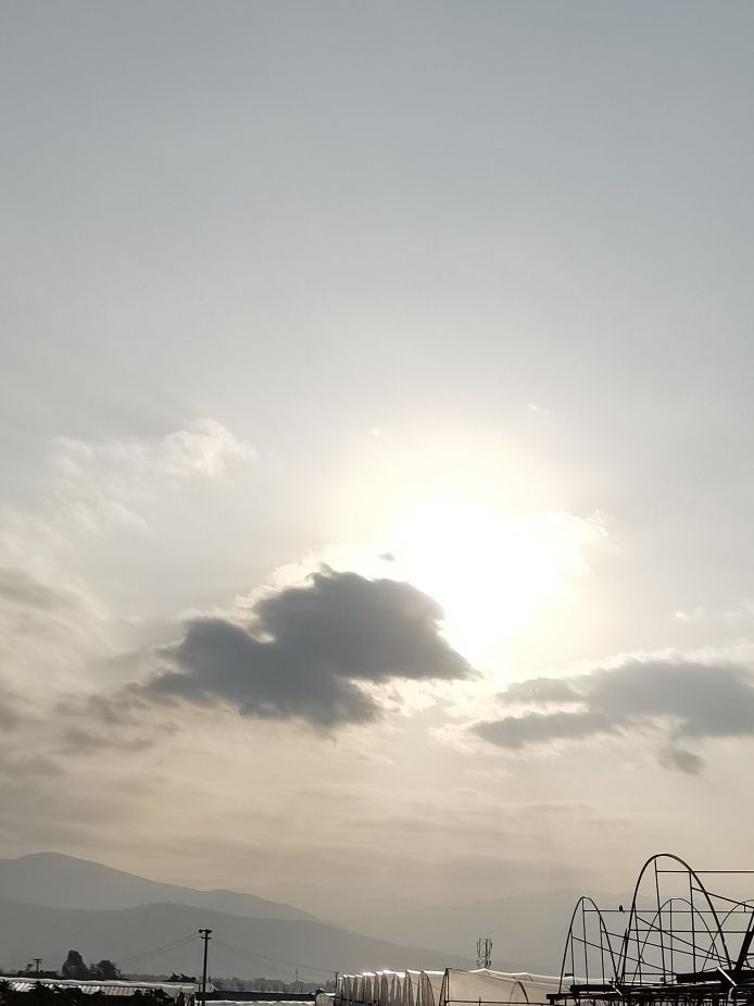 白水沟竹华园旅行图片 1