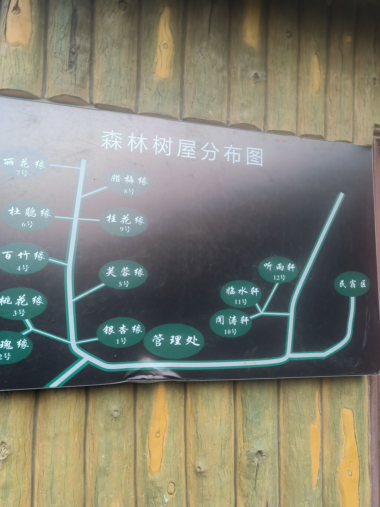 五华山旅游区森林树屋旅行图片 1