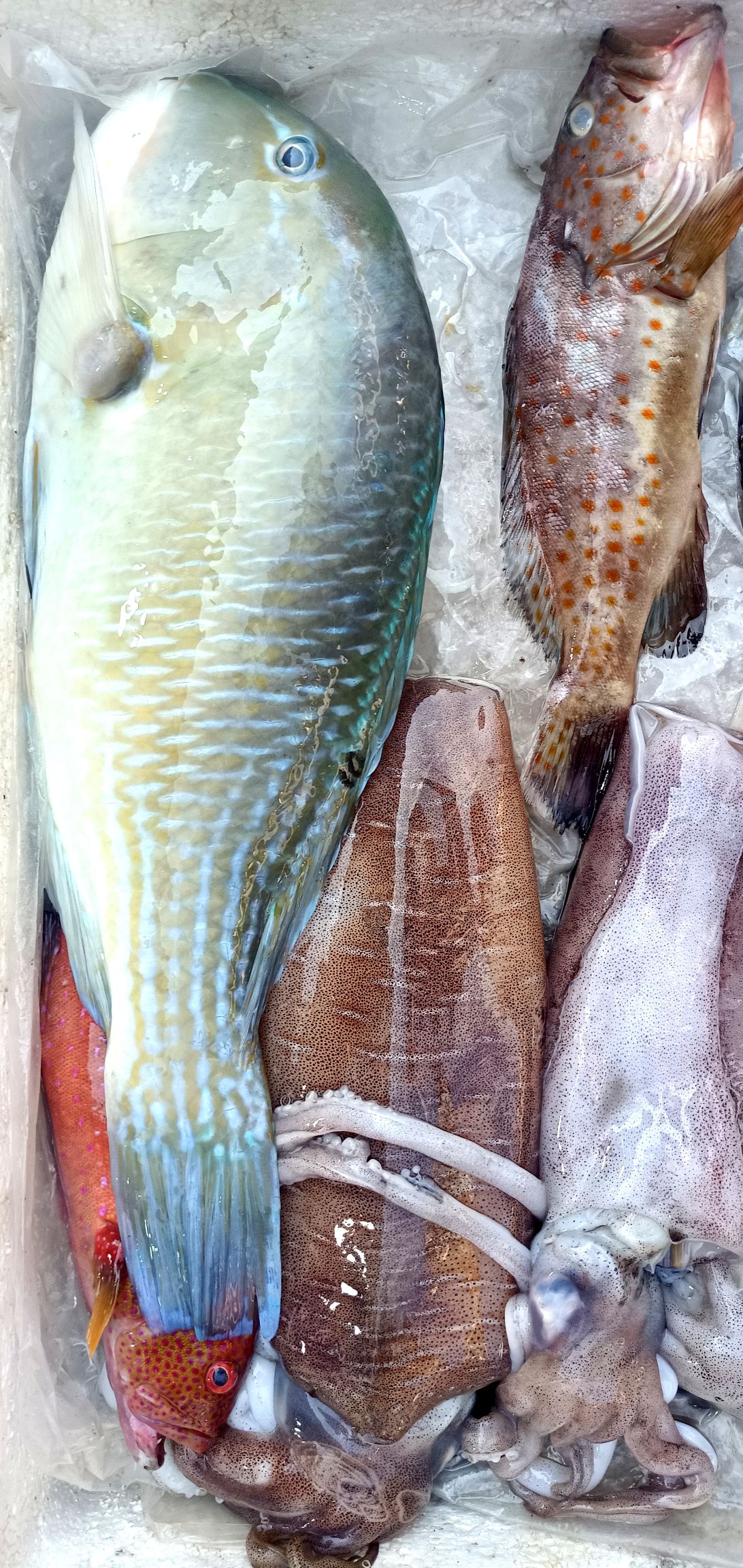 老渡口海鲜馆