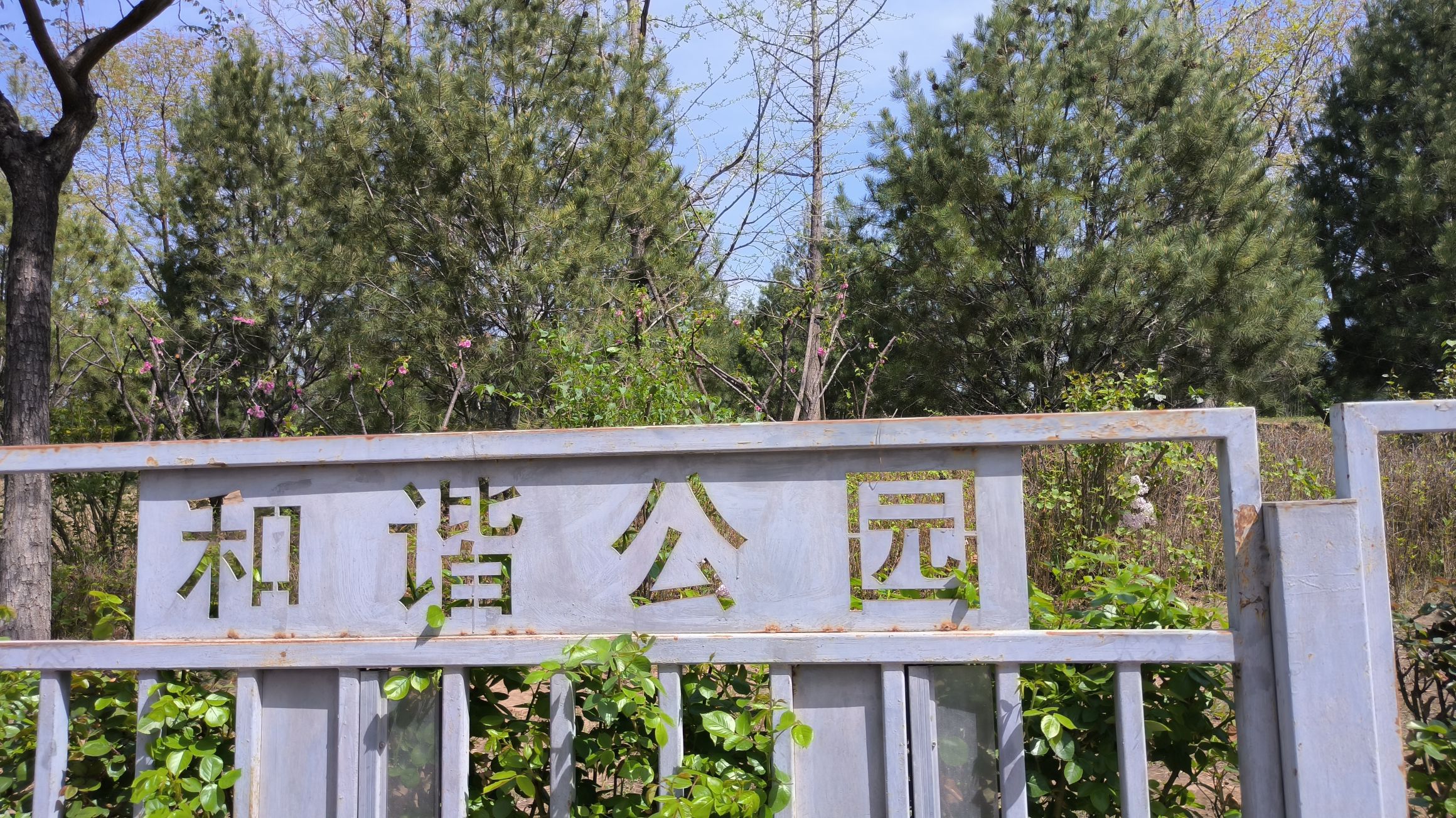 和谐公园旅行图片 1