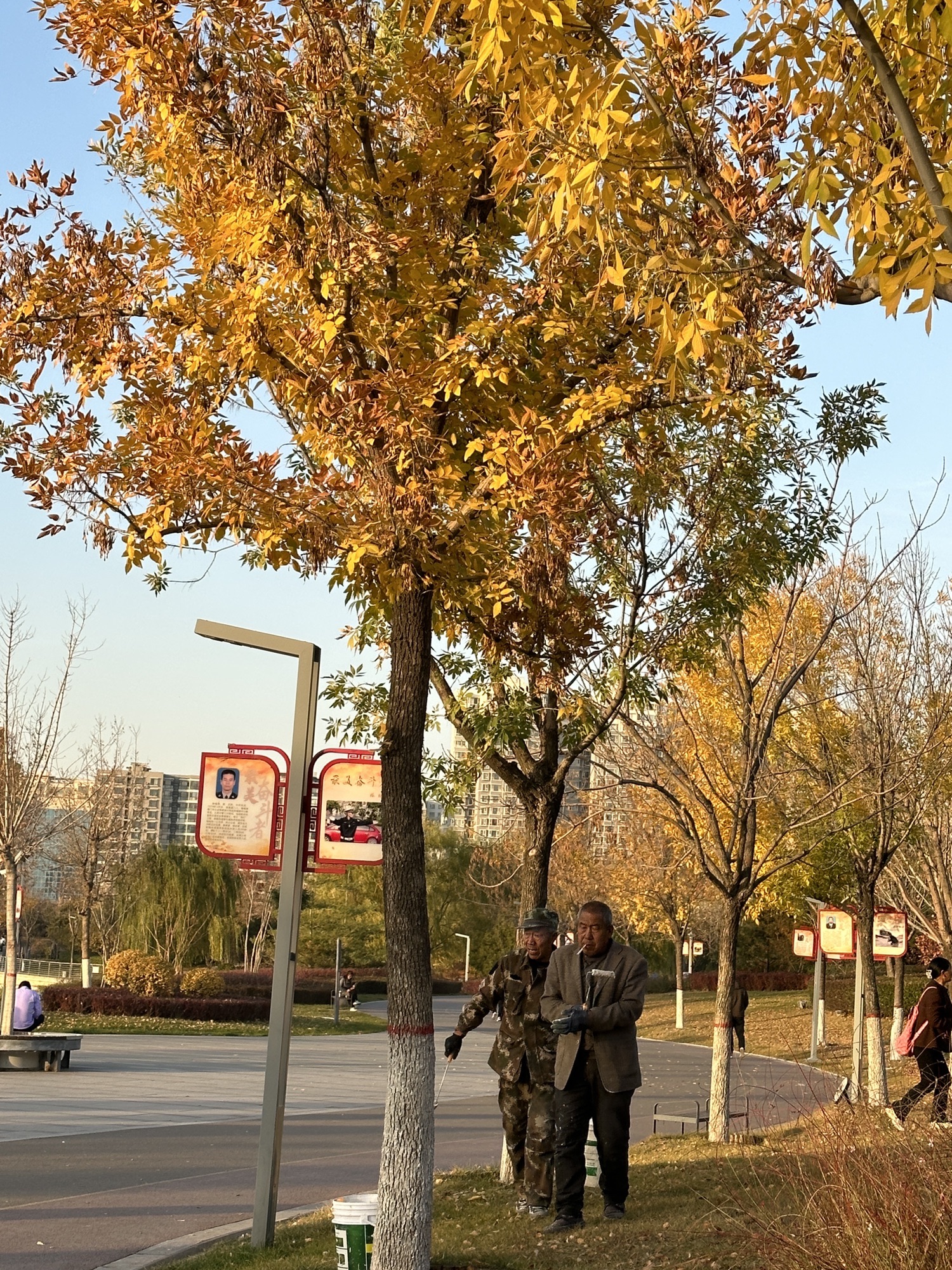 和谐公园旅行图片 3
