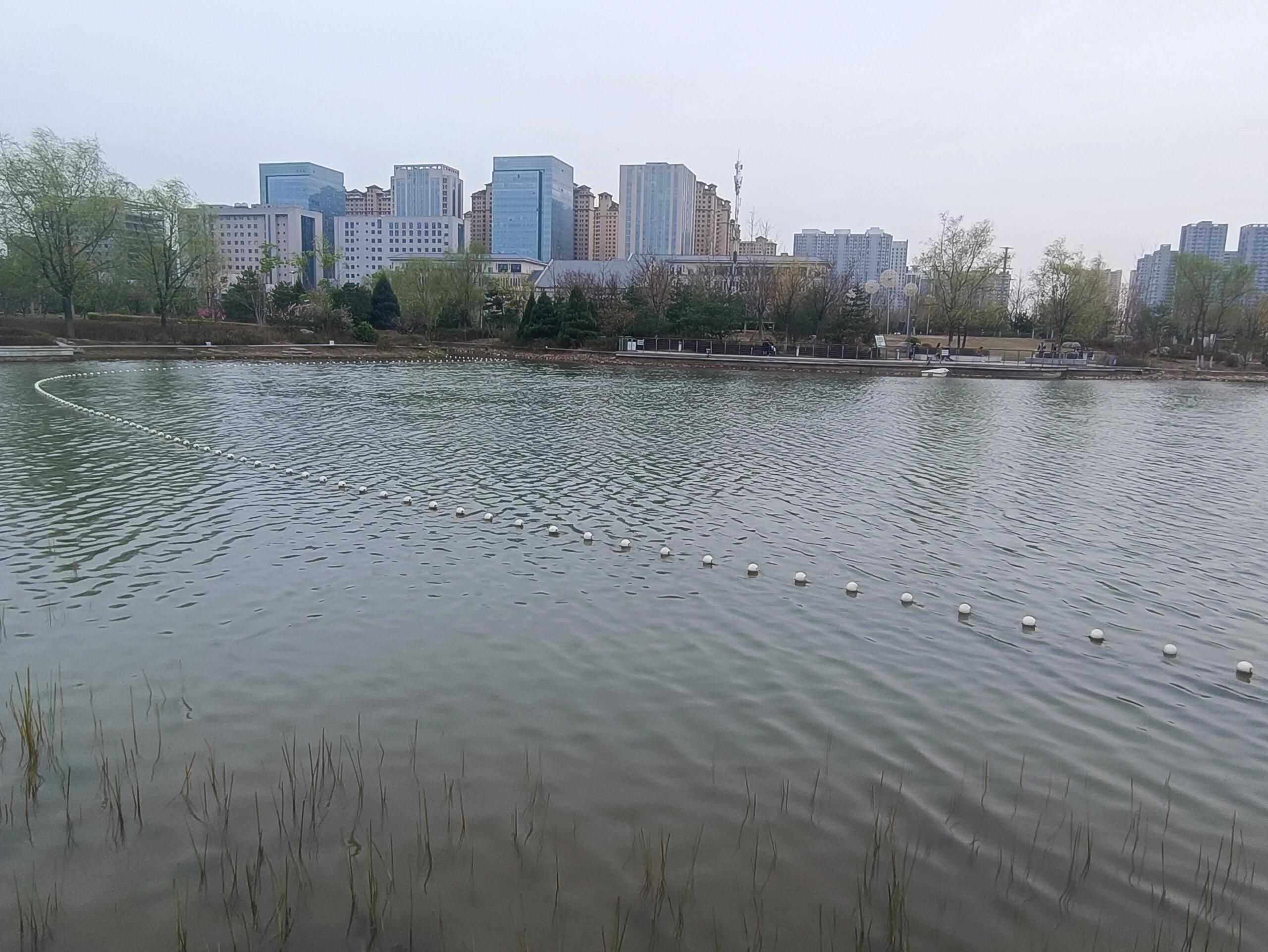 和谐公园旅行图片 2