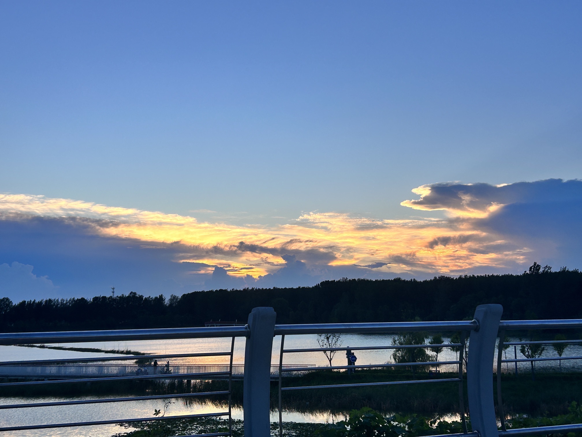 周口市沙河湾湿地公园旅行图片 2