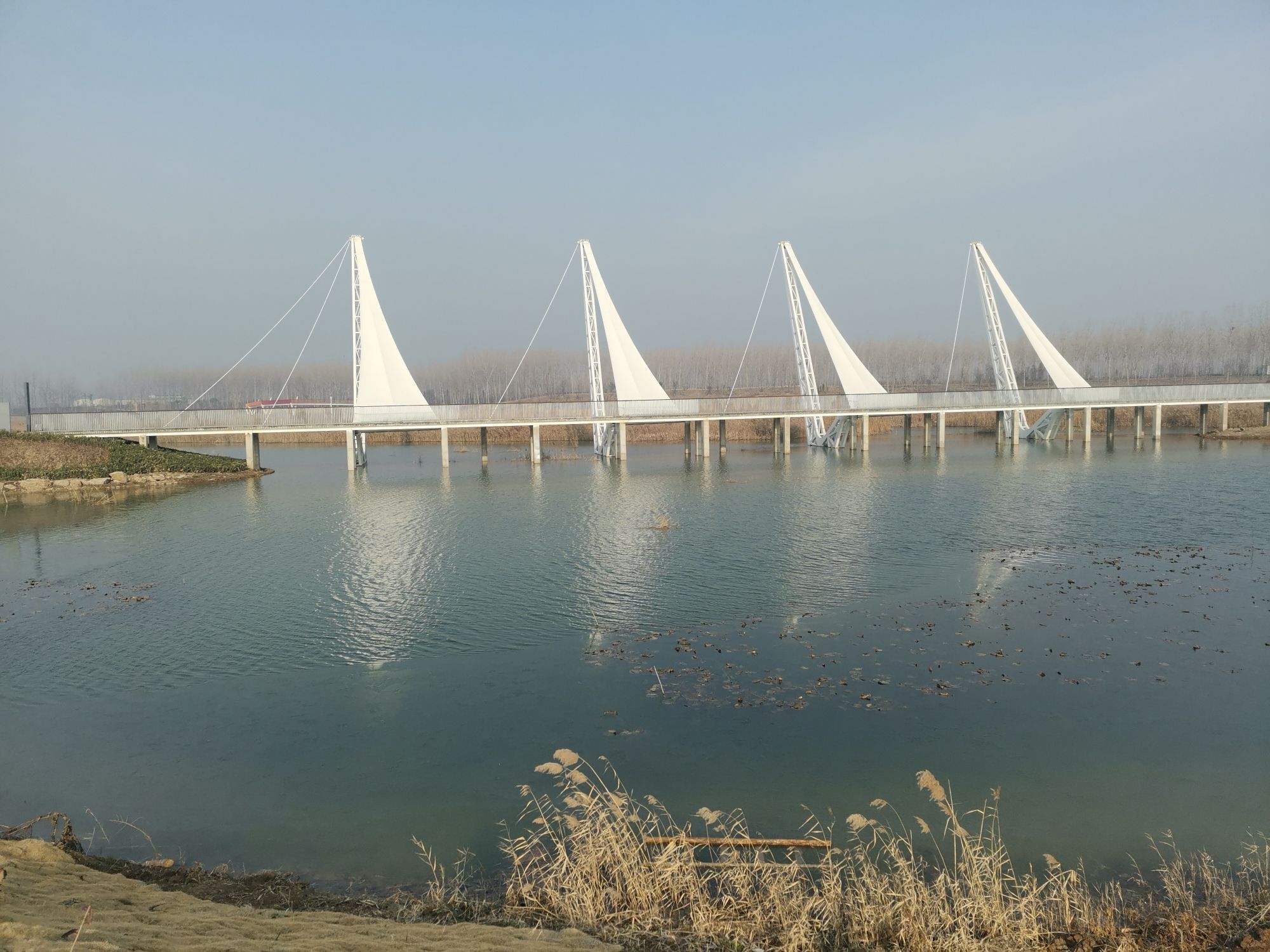 周口市沙河湾湿地公园旅行图片 2